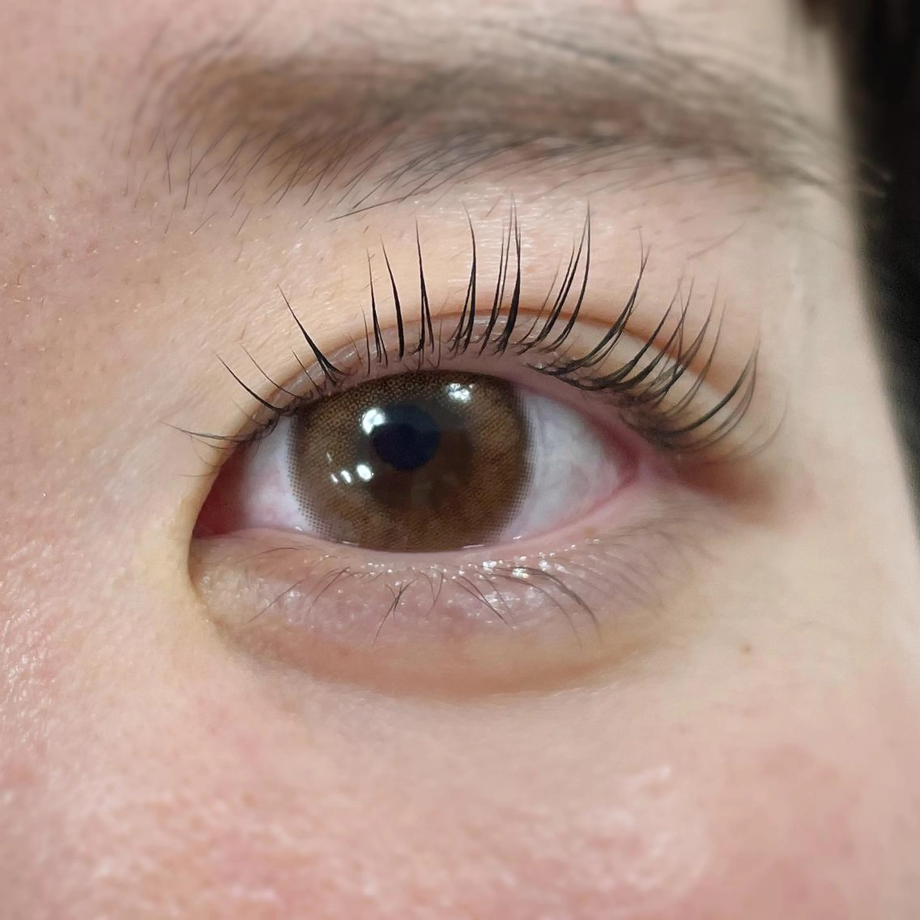 マツエク・マツパ パリジェンヌラッシュリフト mila.池袋 マツモトのマツエク・マツパデザイン