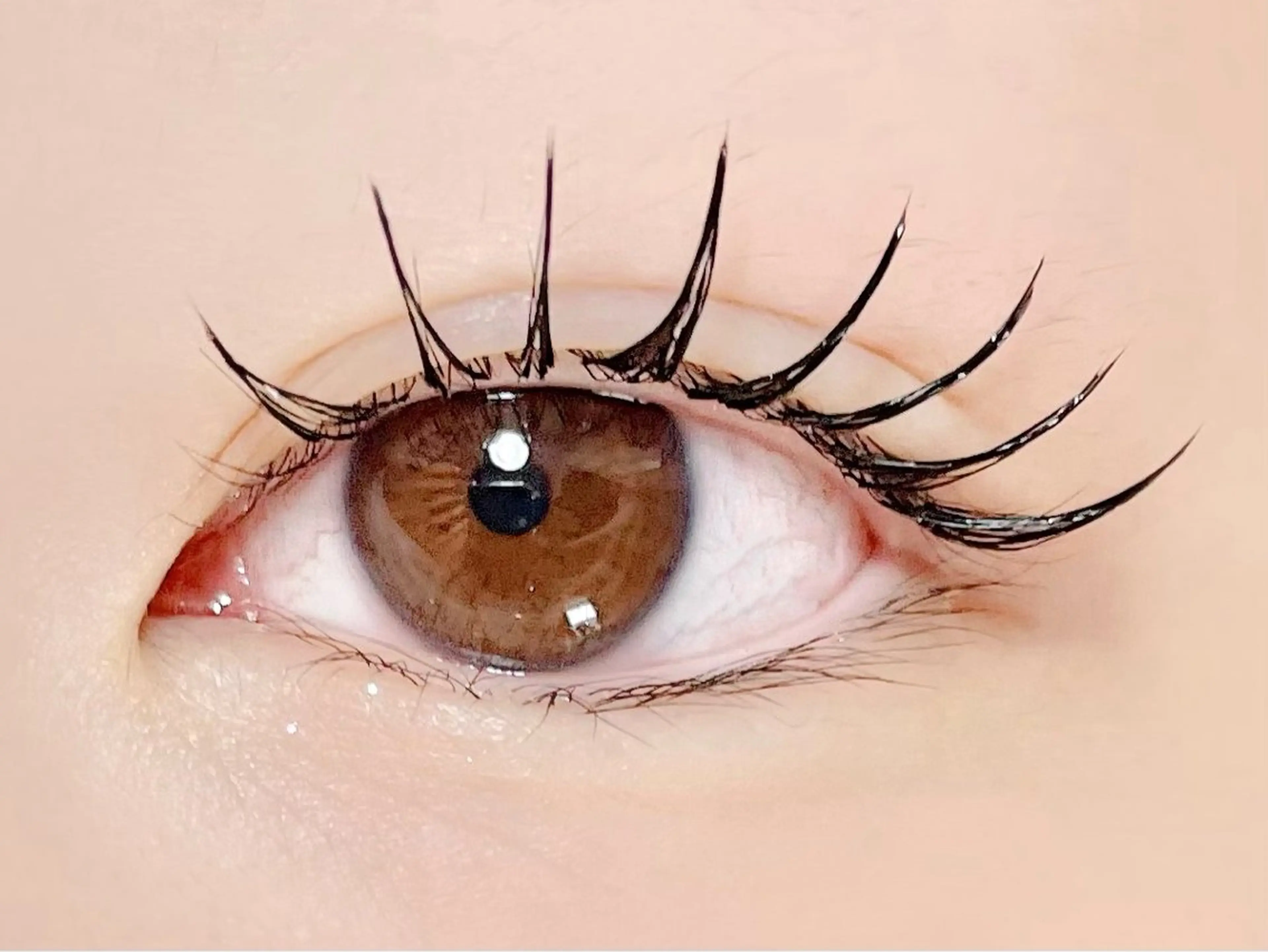 【OPEN記念】フラットラッシュorセーブル80本¥4400→¥3900　[池袋]の写真