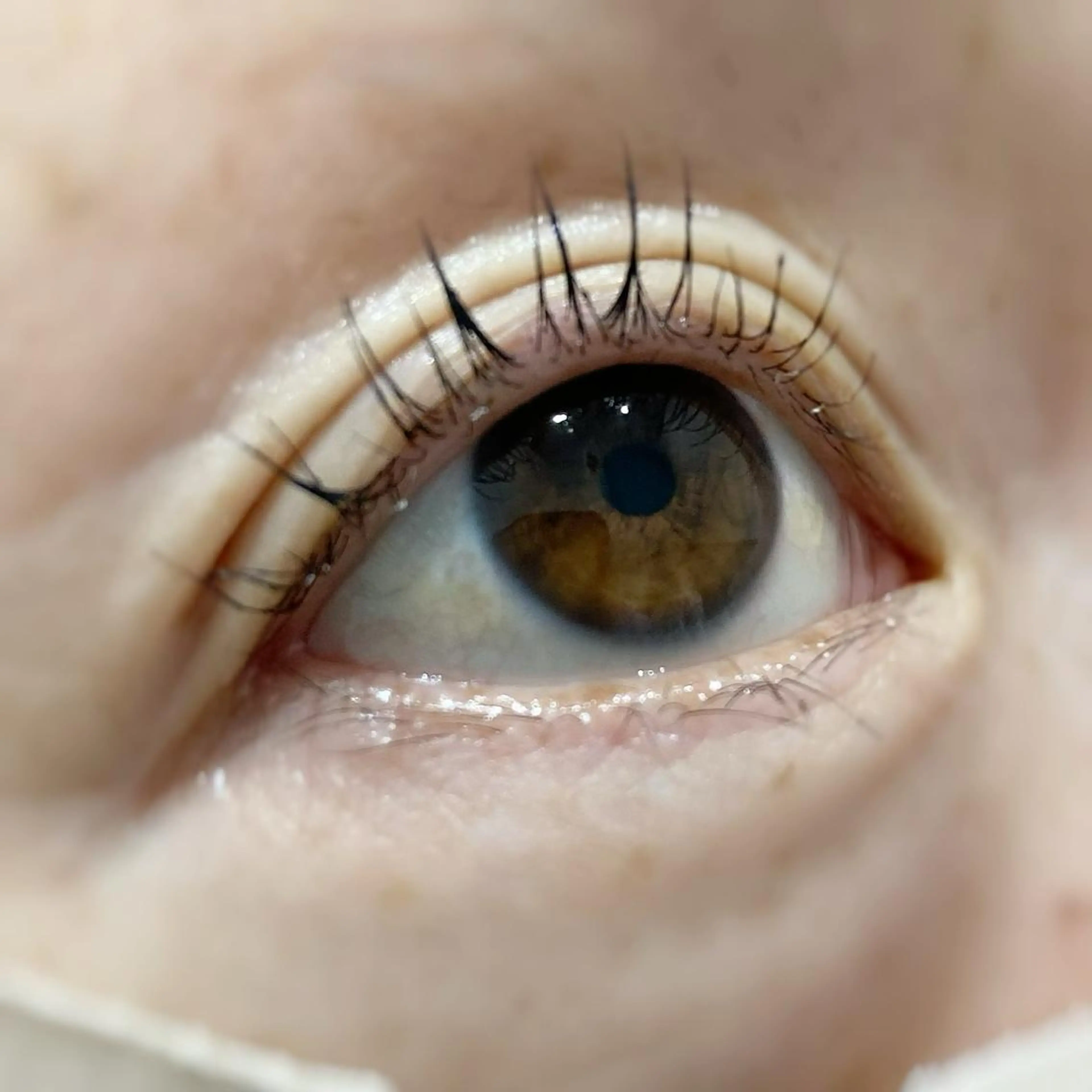 マツエク・マツパ パリジェンヌラッシュリフト EYELASHSALON  PINO所属・eyelash salon PINOのマツエク・マツパデザイン