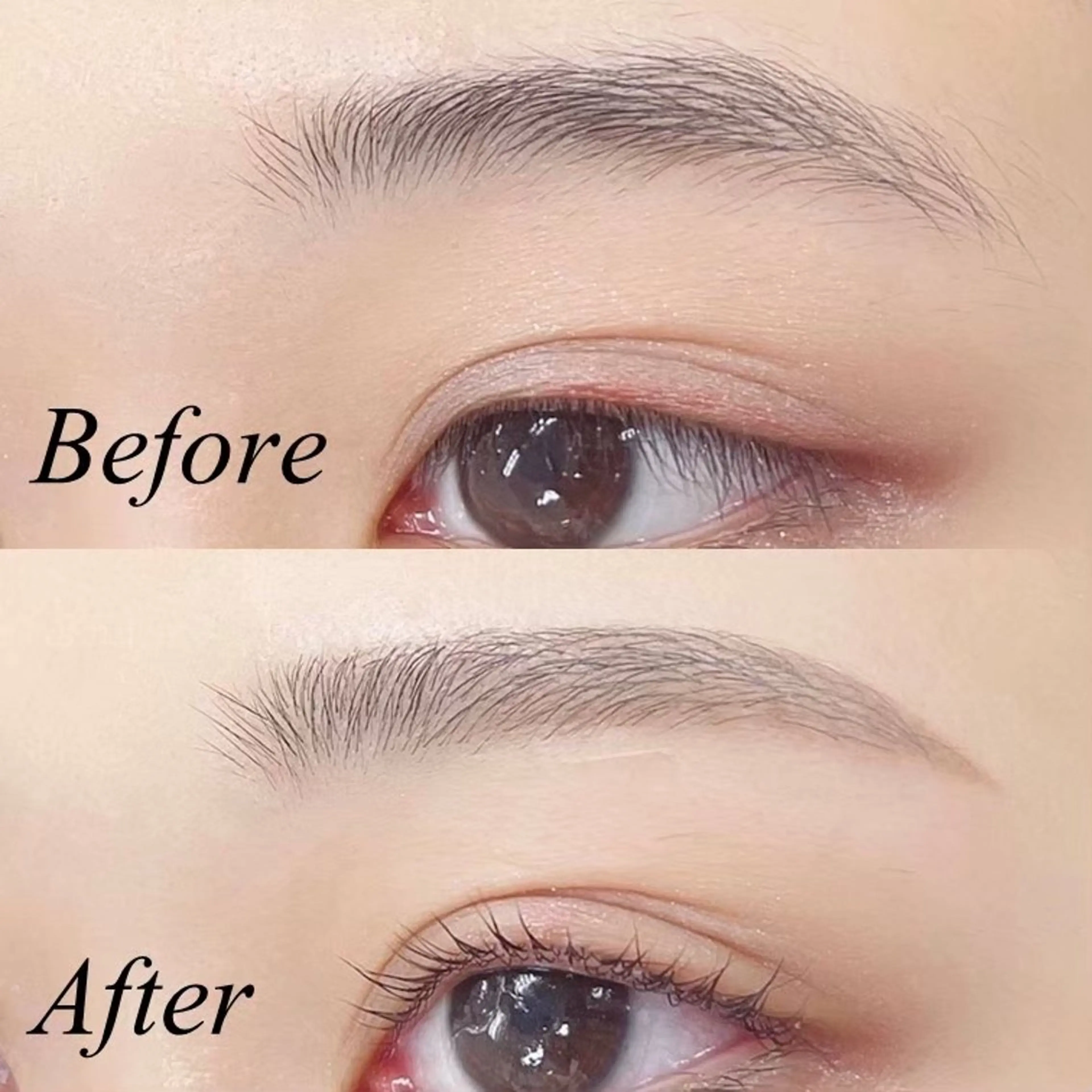 学割U24🎓《持続力⭐️眉毛パーマ》美眉アイブロウWAX＋ハリウッドブロウリフト ¥4900の写真