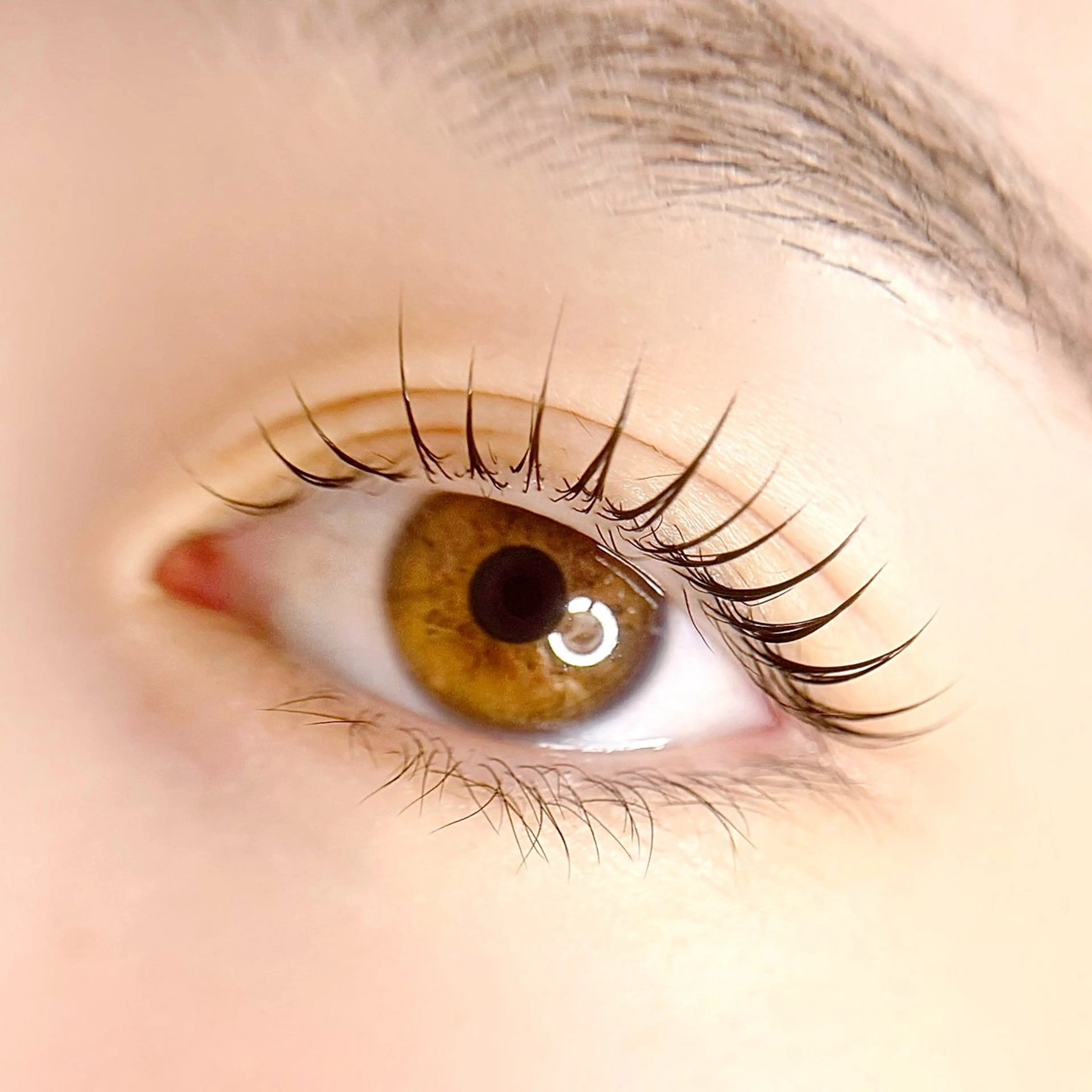 【2回目の方】ラッシュリフト(まつげパーマ)トリートメント＋コーティング付き🫧の写真