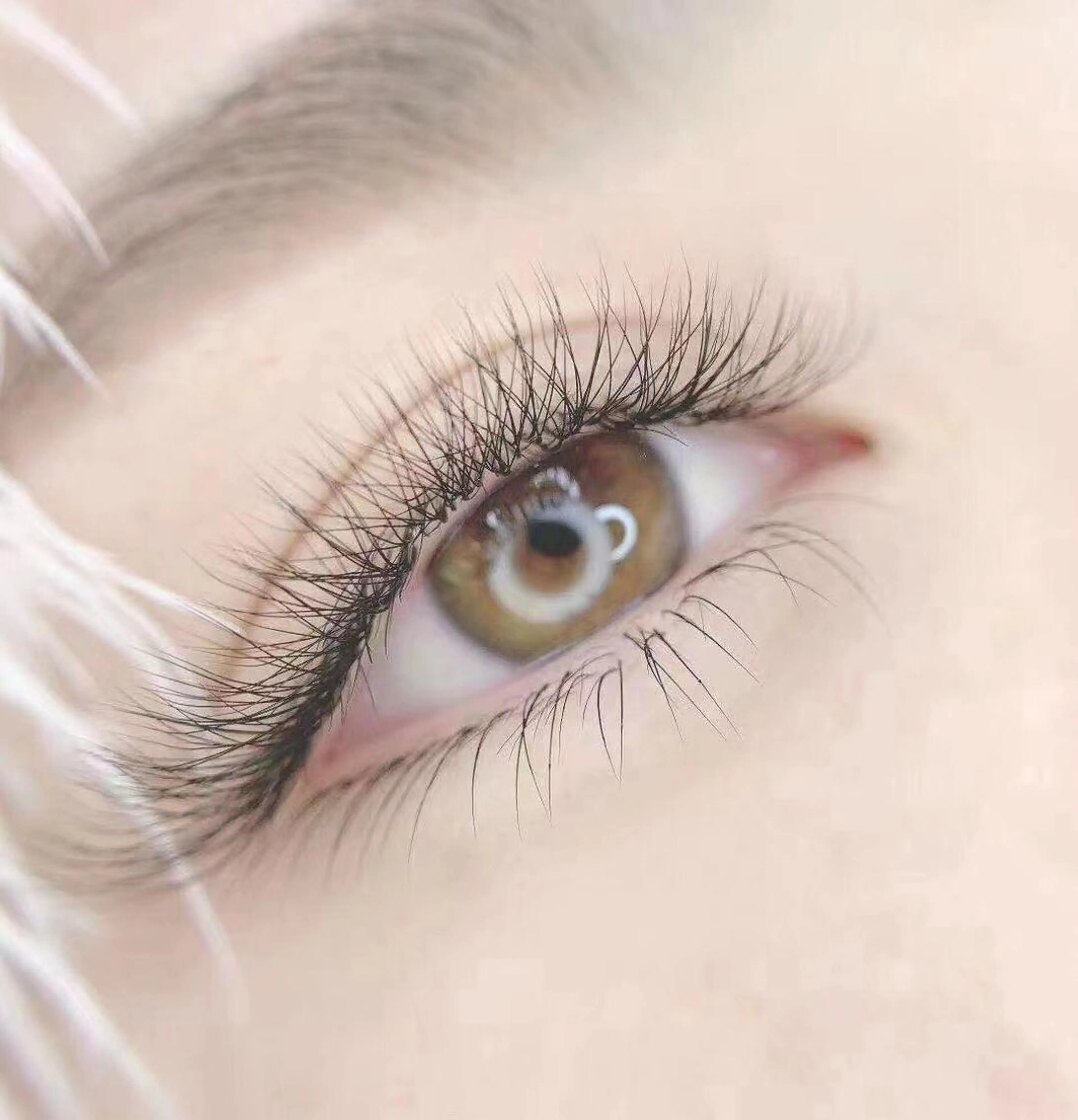 マツエク・マツパ フラットラッシュ 羽賀 美和のマツエク・マツパデザイン