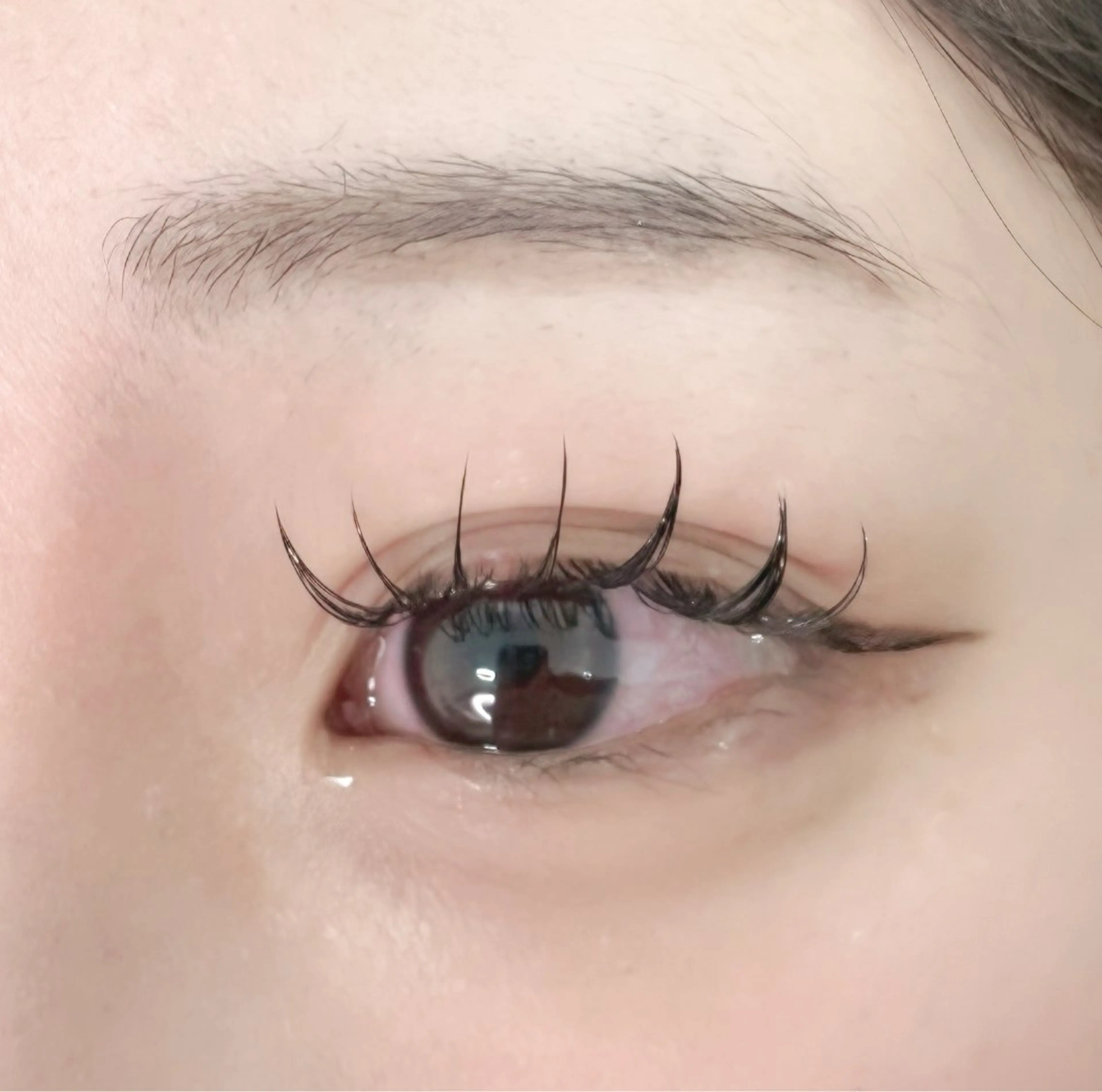 フラットラッシュ上下付け放題( ꇐ₃ꇐ )の写真