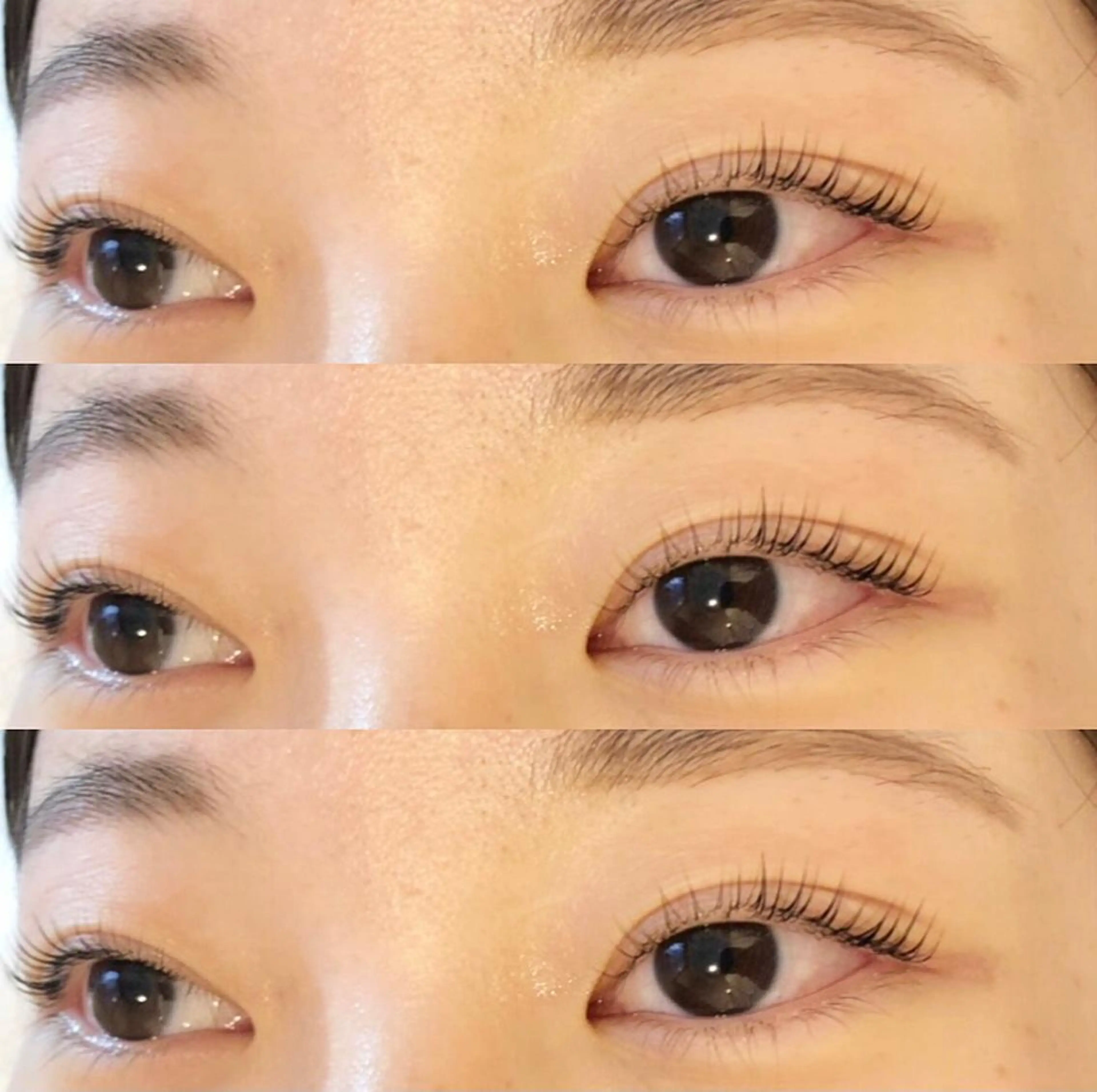 マツエク・マツパ パリジェンヌラッシュリフト eyelashsalon Lumirise所属・🍒🍒 lumiriseのマツエク・マツパデザイン