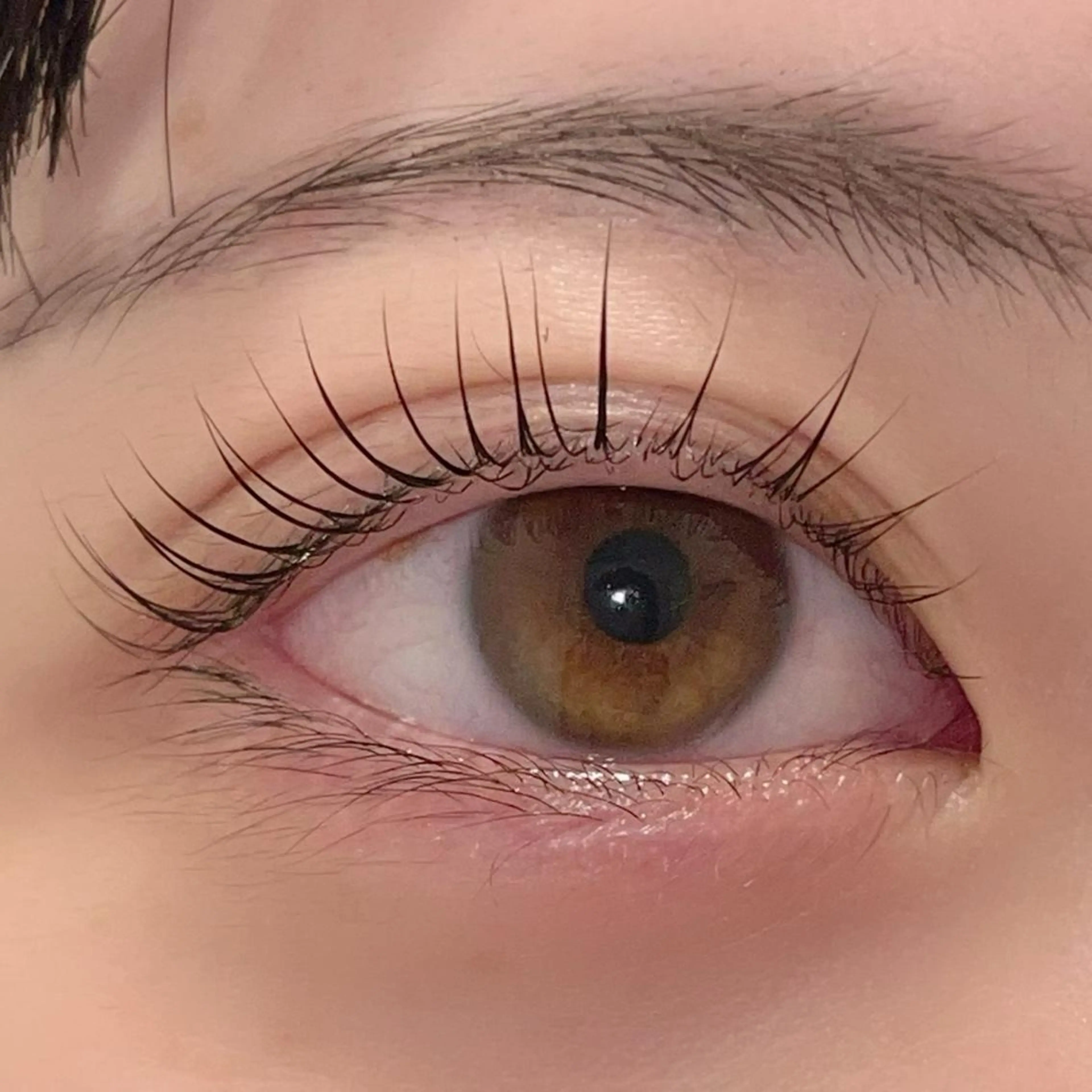 マツエク・マツパ パリジェンヌラッシュリフト まつげパーマ ai一重専門🎀束感 まつげ🫧表参道のマツエク・マツパデザイン