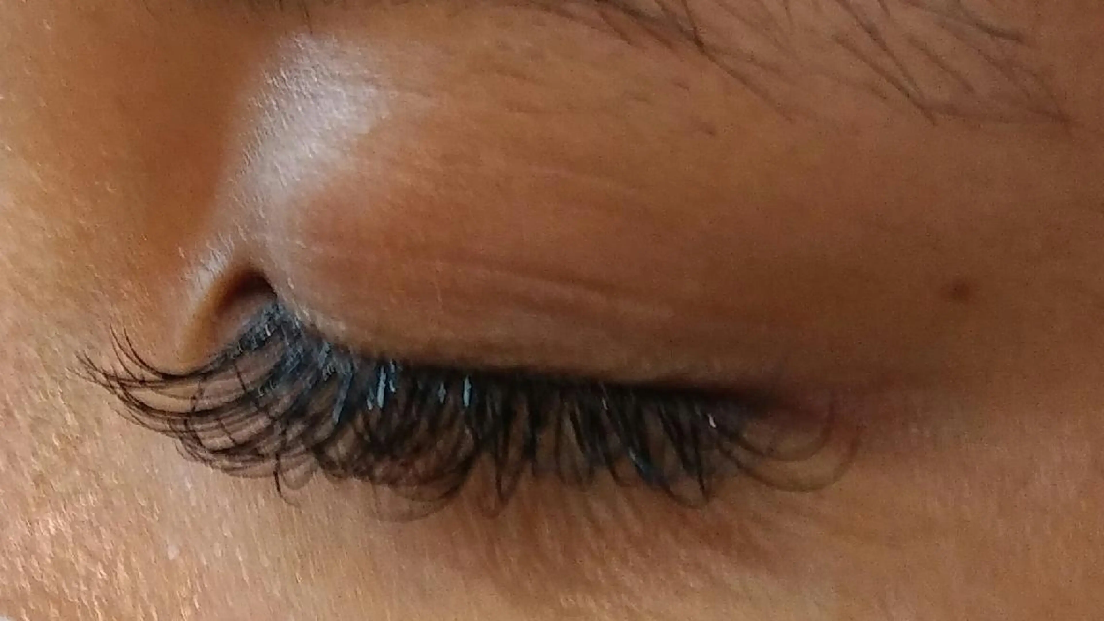 マツエク・マツパ Cカール キュート セーブル Ｖerba松戸店所属・verba バーバの眉毛・アイブロウイメージ