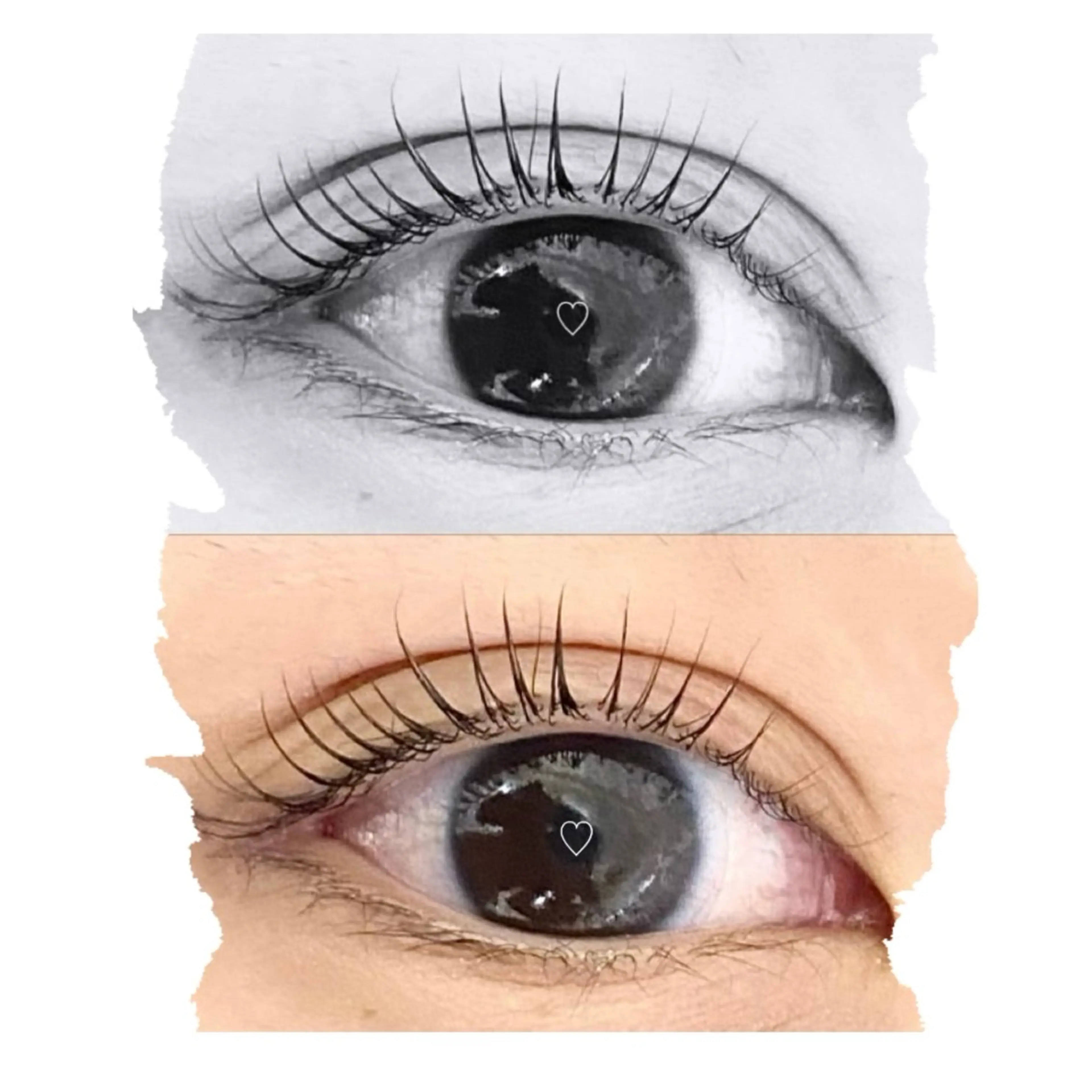 ケラチントリートメント付✨まつ毛パーマorパリジェンヌの写真