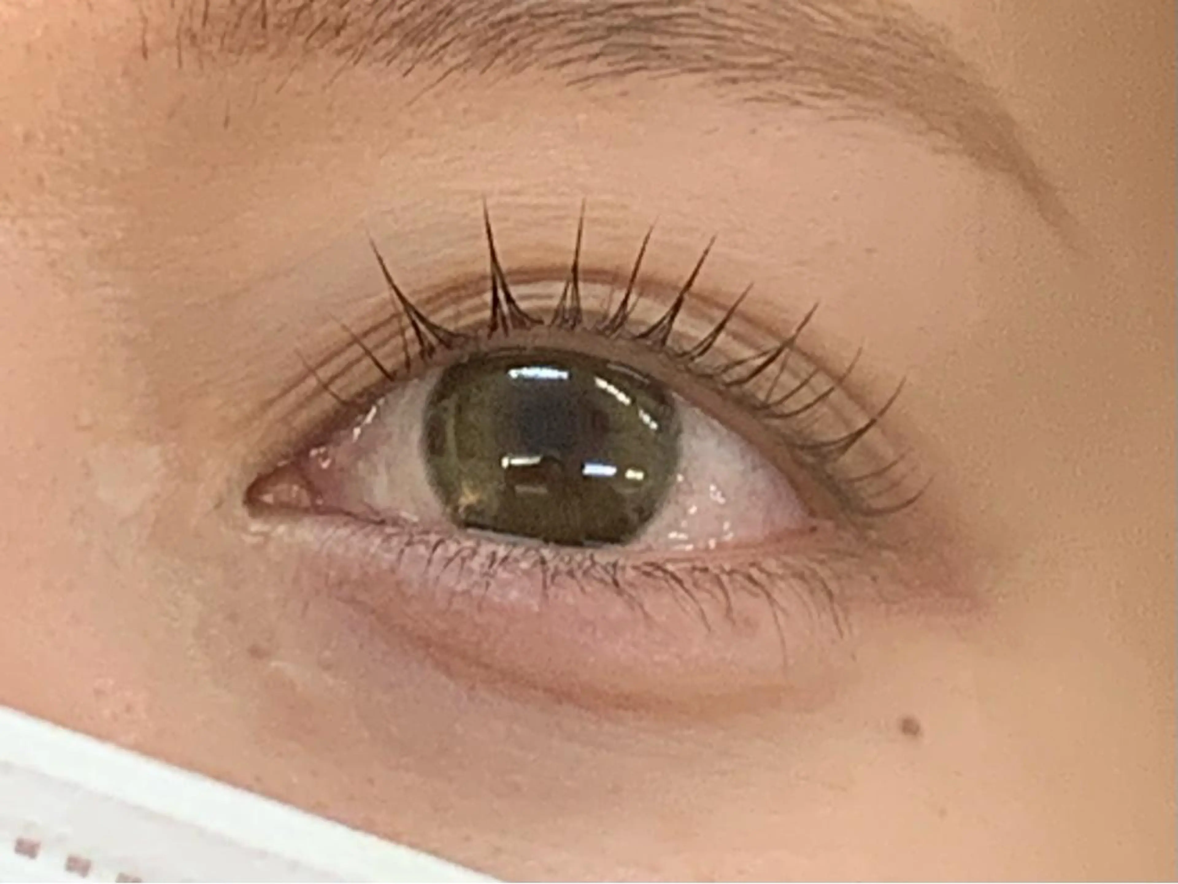 マツエク・マツパ Lil by Fan. 菊池のマツエク・マツパデザイン