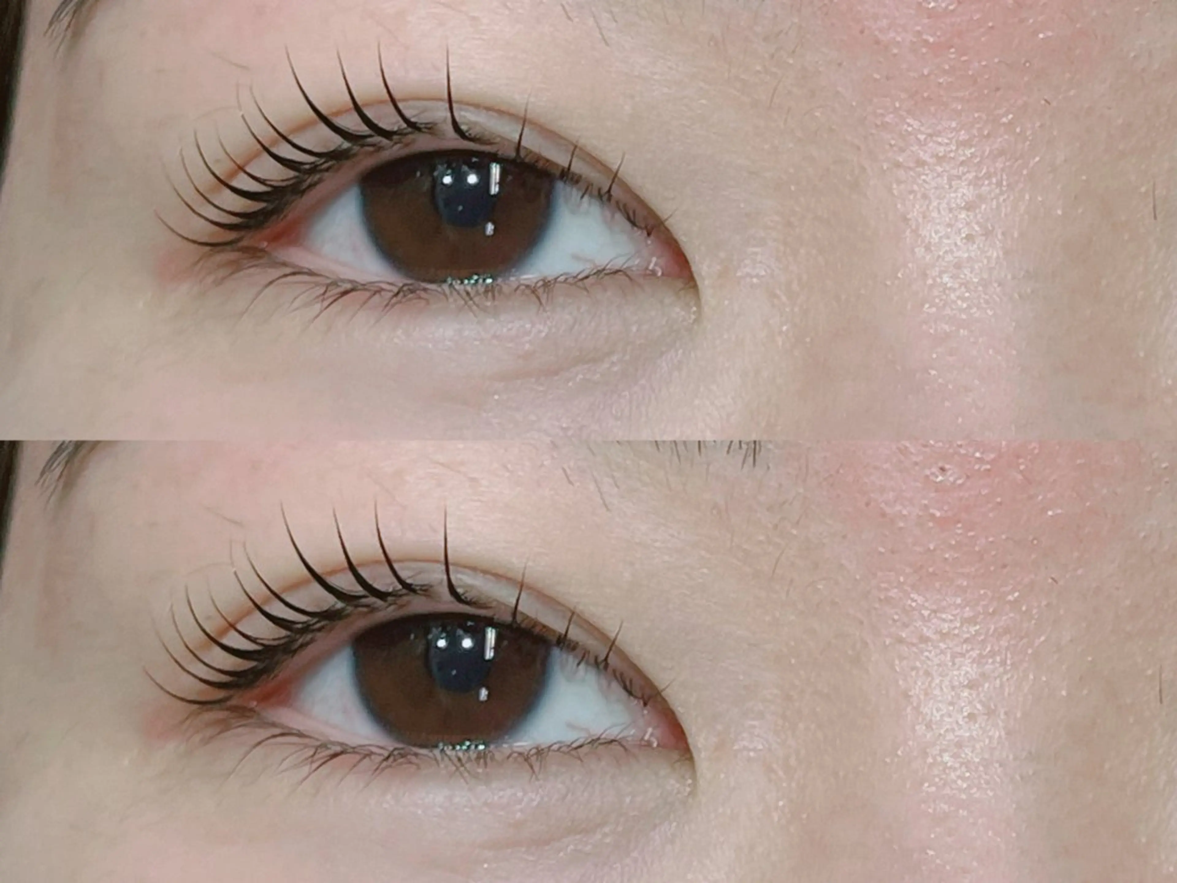 マツエク・マツパ Lupines🐱 SHIHORIのマツエク・マツパデザイン