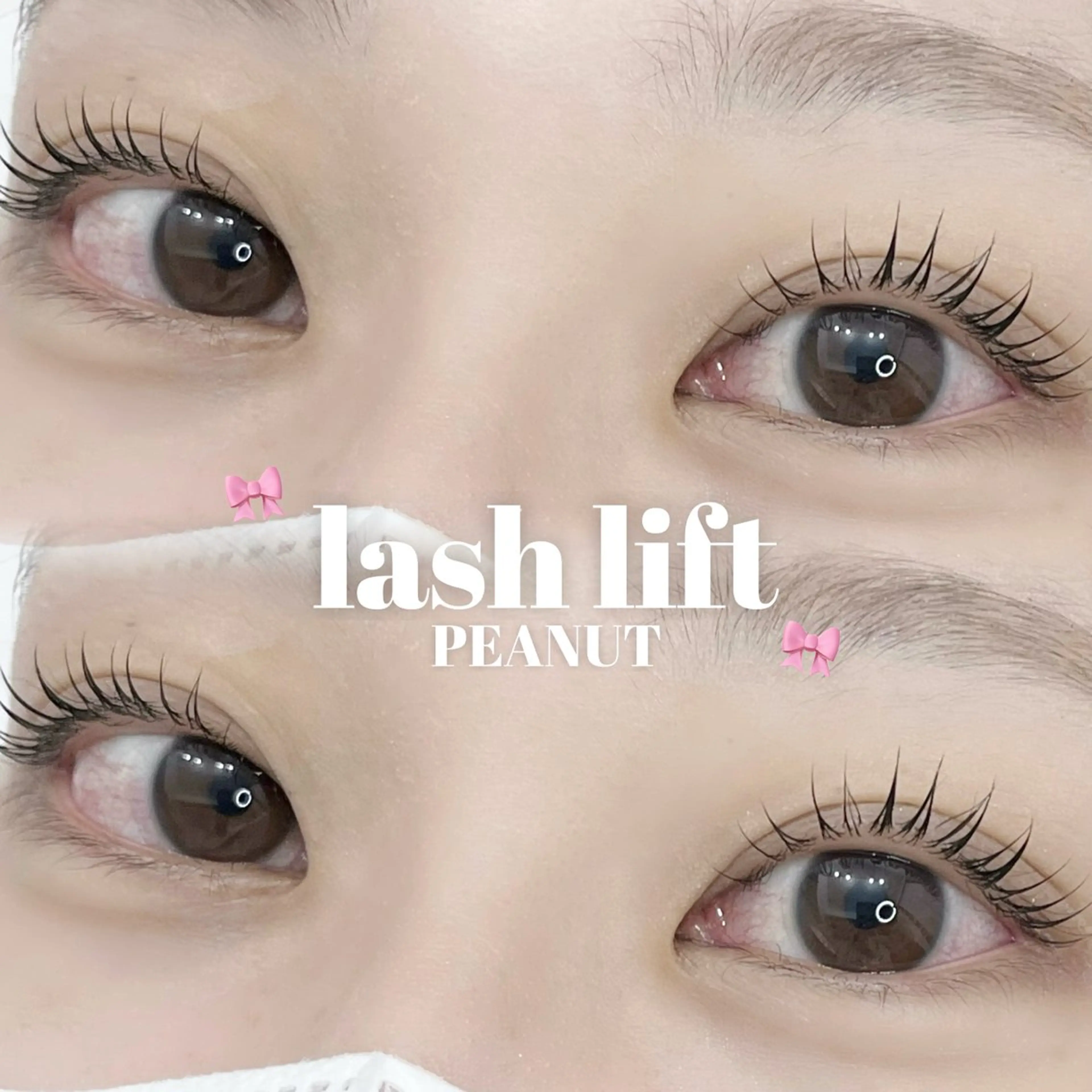 【🎀ミニモ学割U24🎀】まつ毛パーマ(トリートメント+コーティング付き)の写真