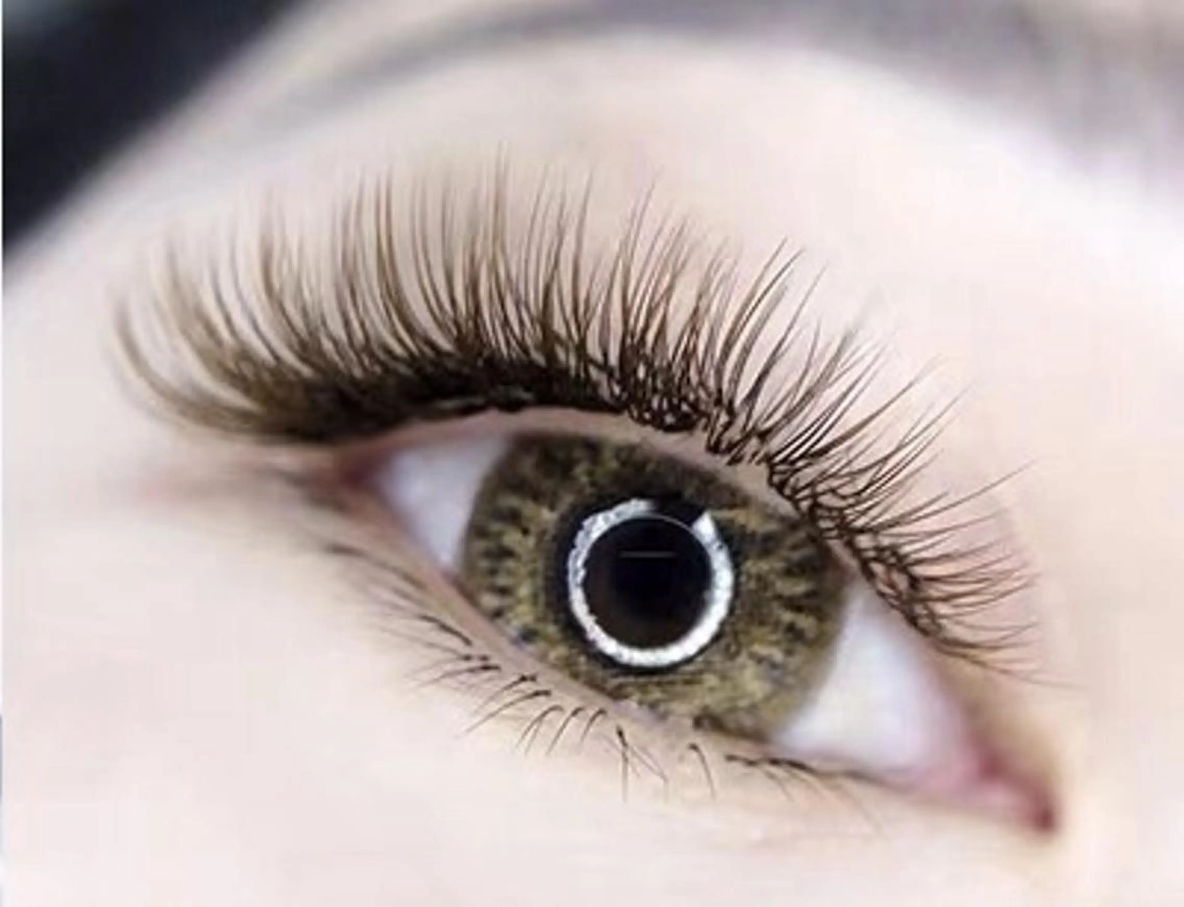 期間限定❤️セーブルつけ放題　オフ+500円の写真