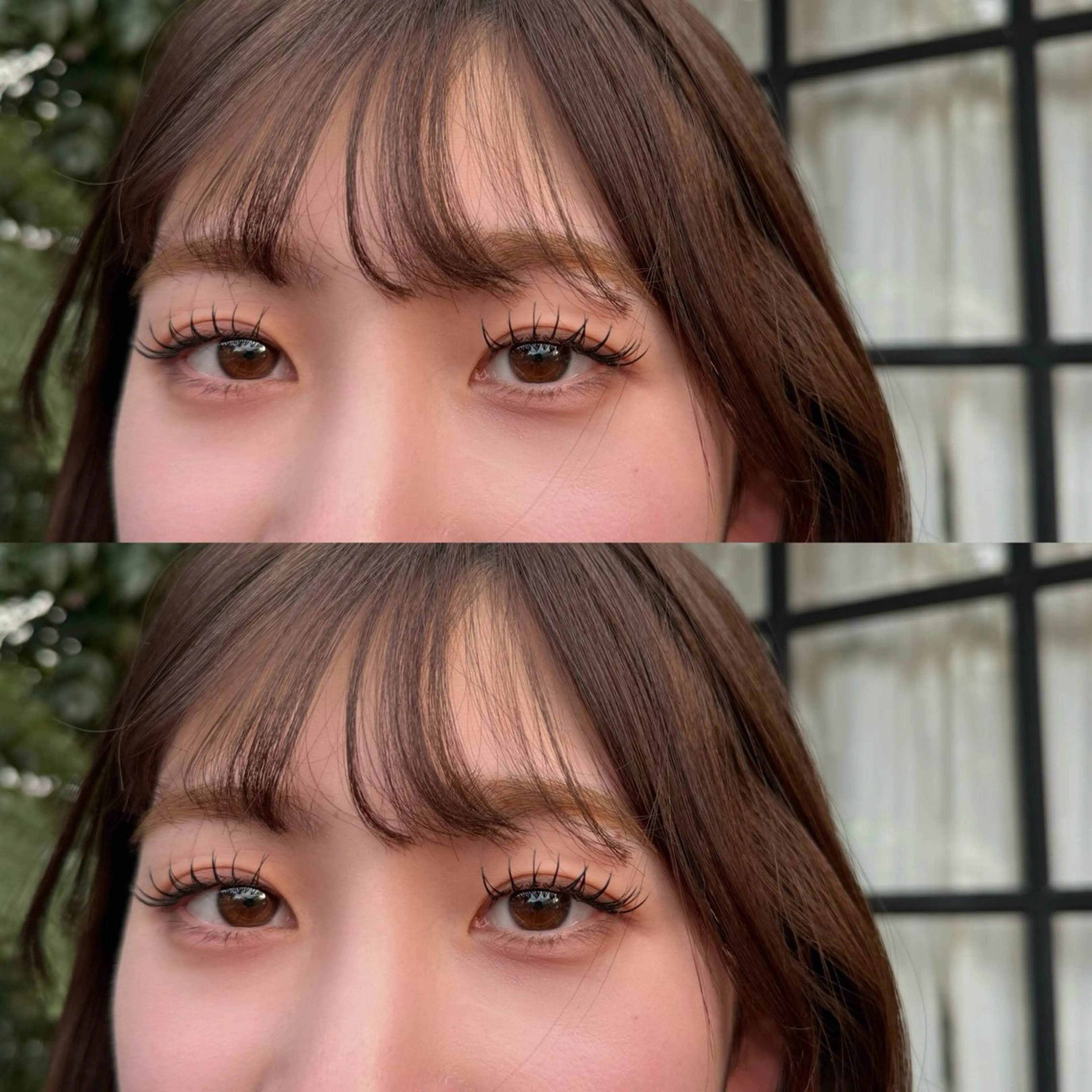 本日来店限定☆セーブルorフラット100本の写真