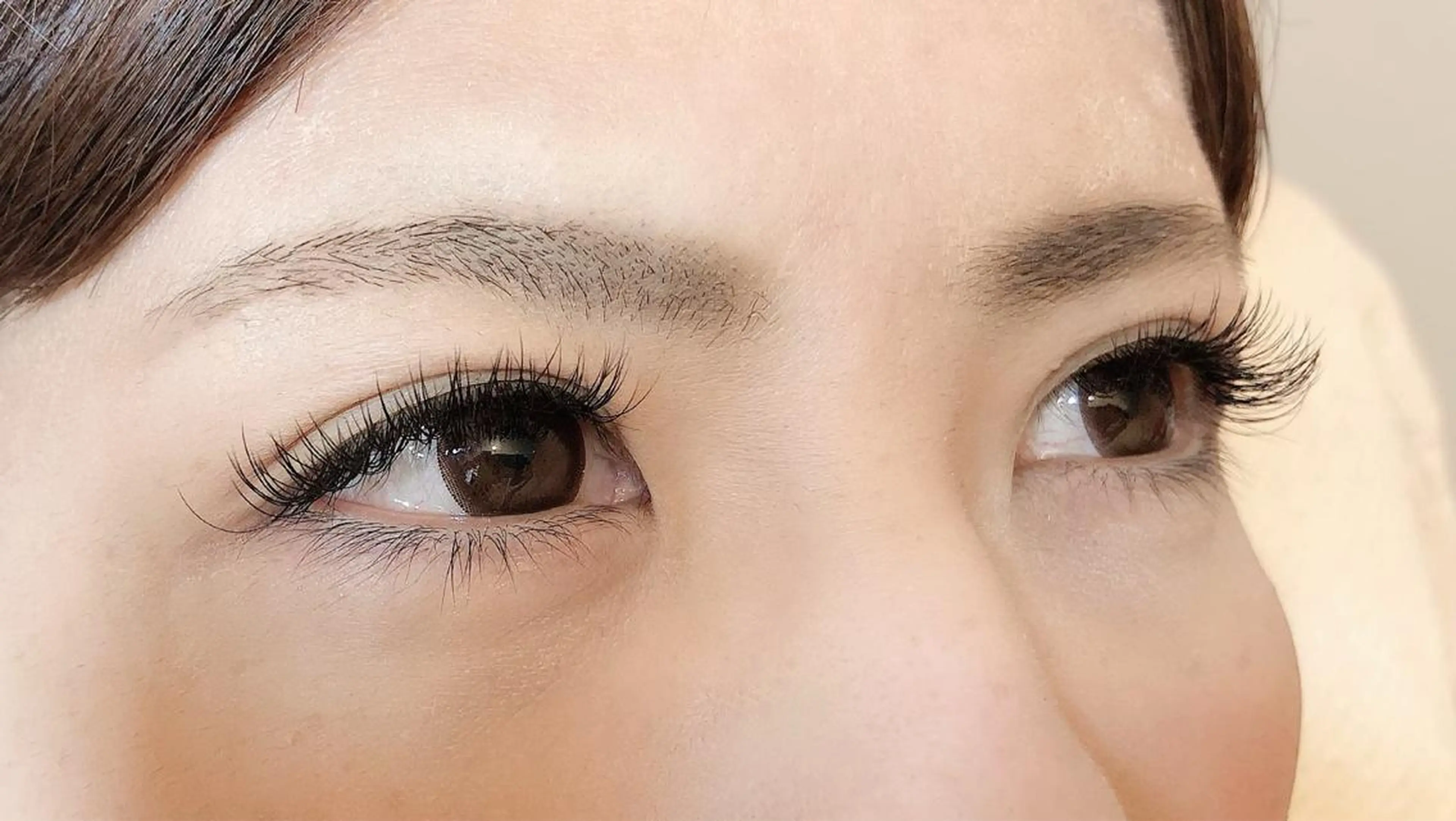 初回限定⭐️次世代フラットセーブル  両目100本【プラス料金本数変更可能】の写真