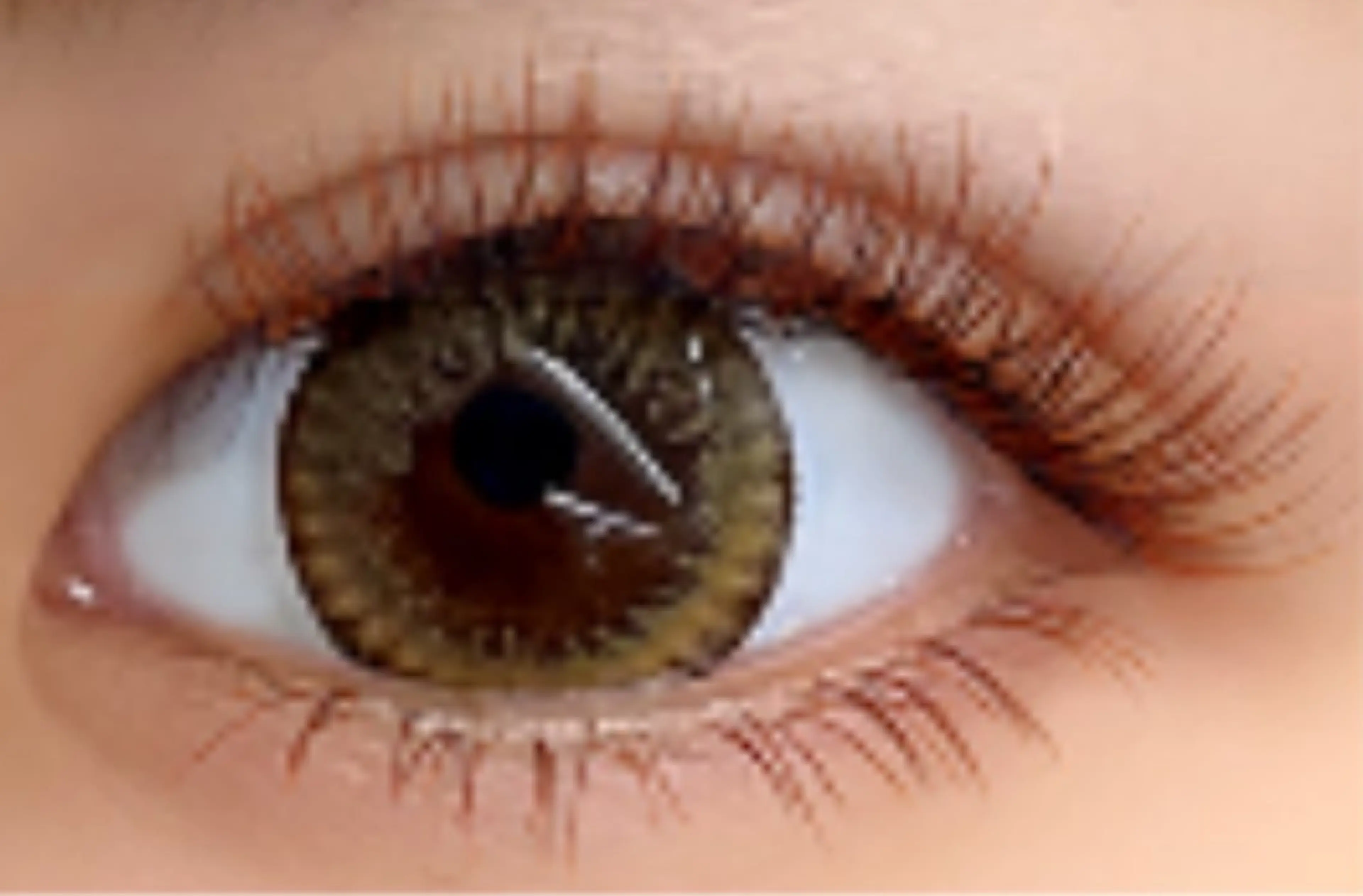 マツエク・マツパ violus所属・violus 天六のマツエク・マツパデザイン