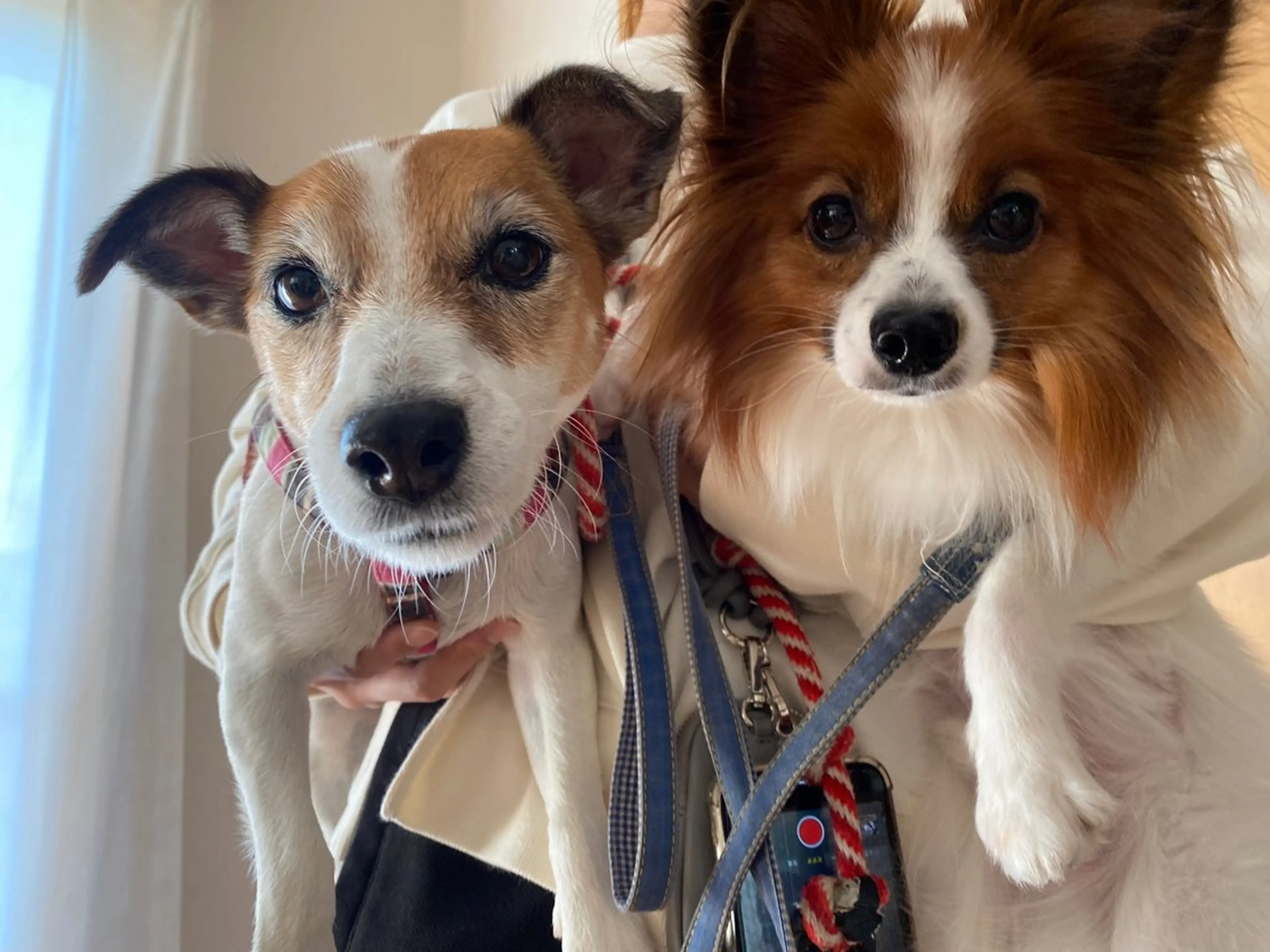 ミラクルバスト 津田沼店　松本まおのエステ・リラクイメージ