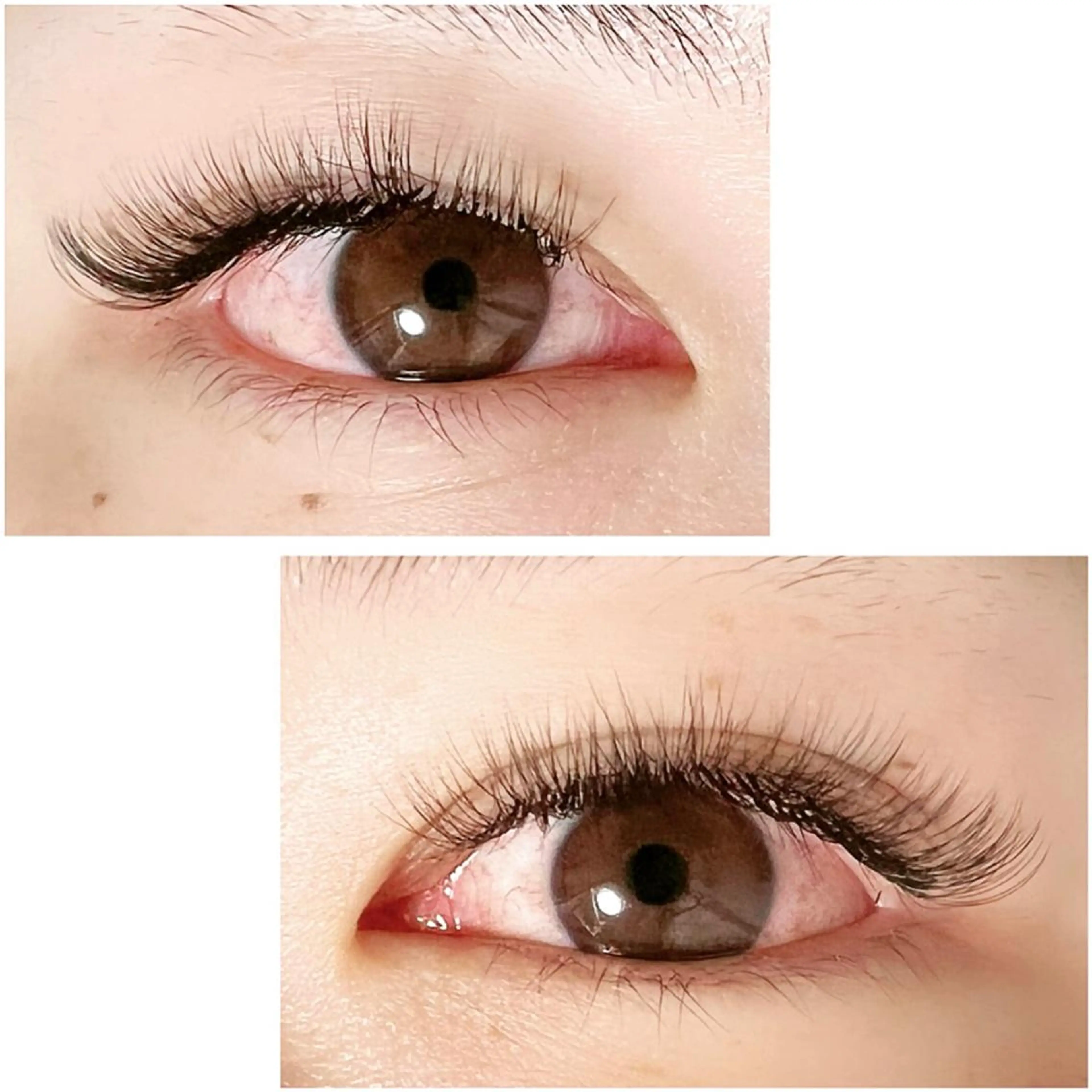 マツエク・マツパ ボリュームラッシュ マツエク Adorer(アドレ)所属・Adorer 🍀アドレ🍀のマツエク・マツパデザイン