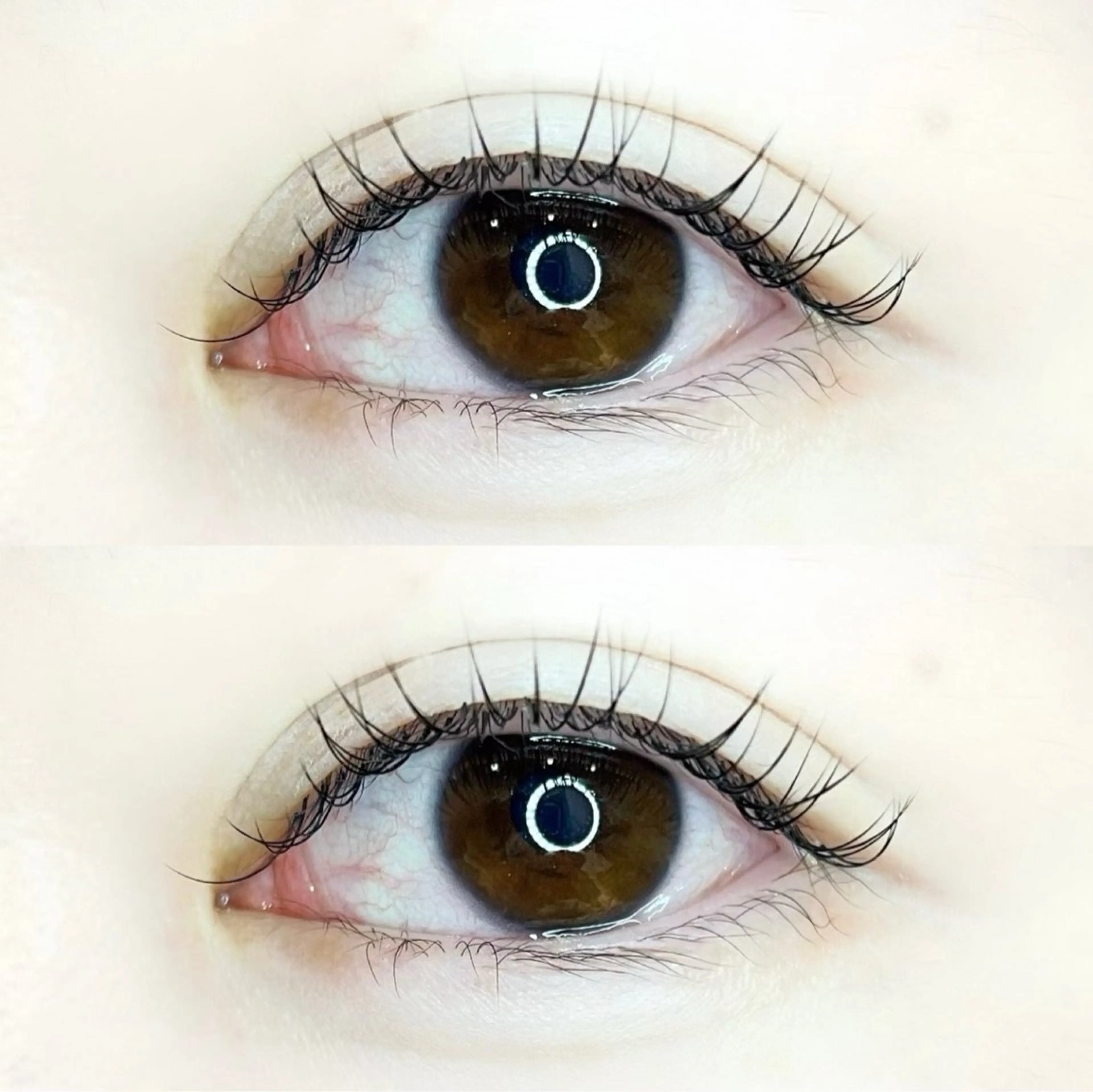 マツエク・マツパ マツエク terrace &Lavieのマツエク・マツパデザイン