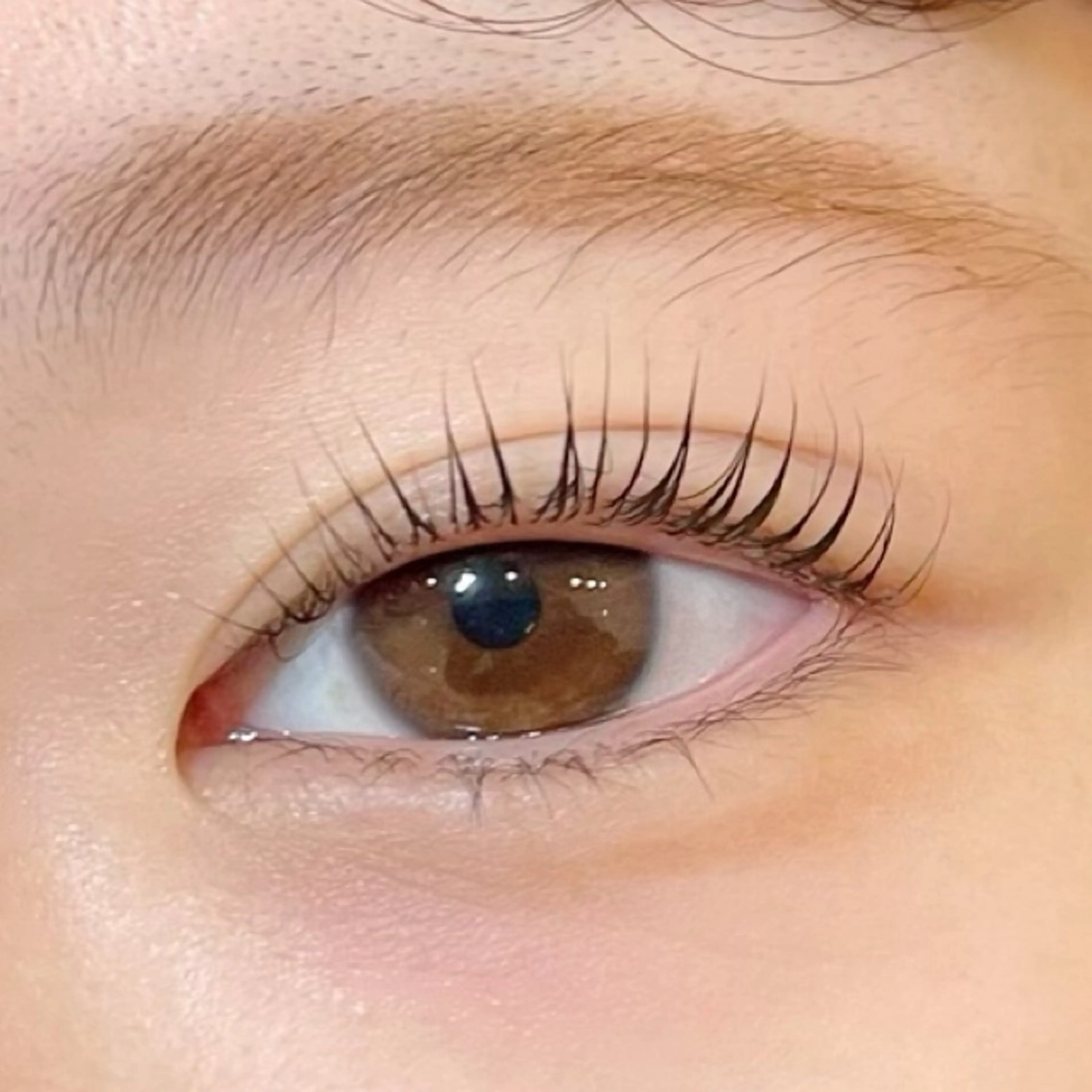 マツエク・マツパ Sakurablow 難波店　小嶋の眉毛・アイブロウイメージ