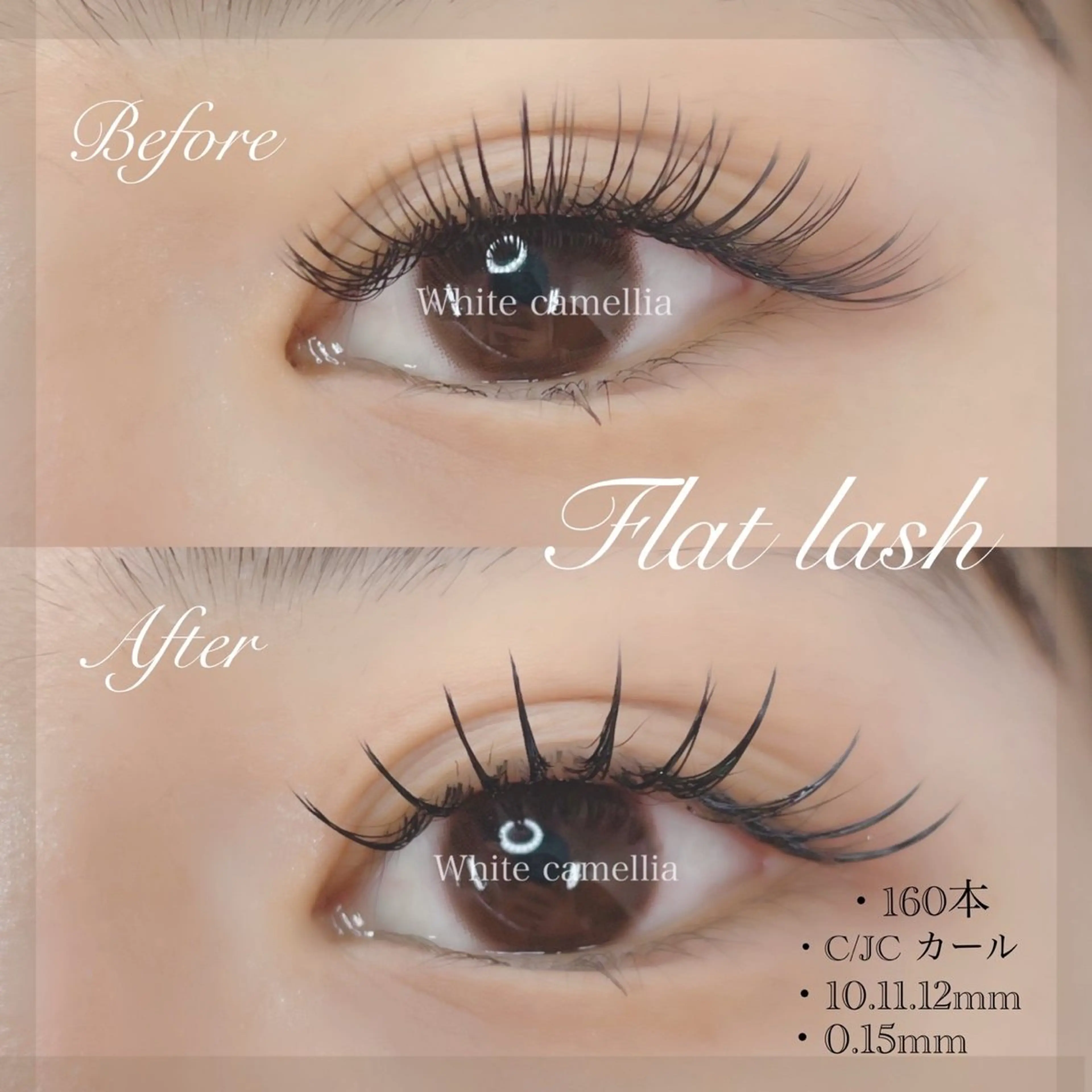 【マツエク】プレミアムフラットラッシュ160本の写真