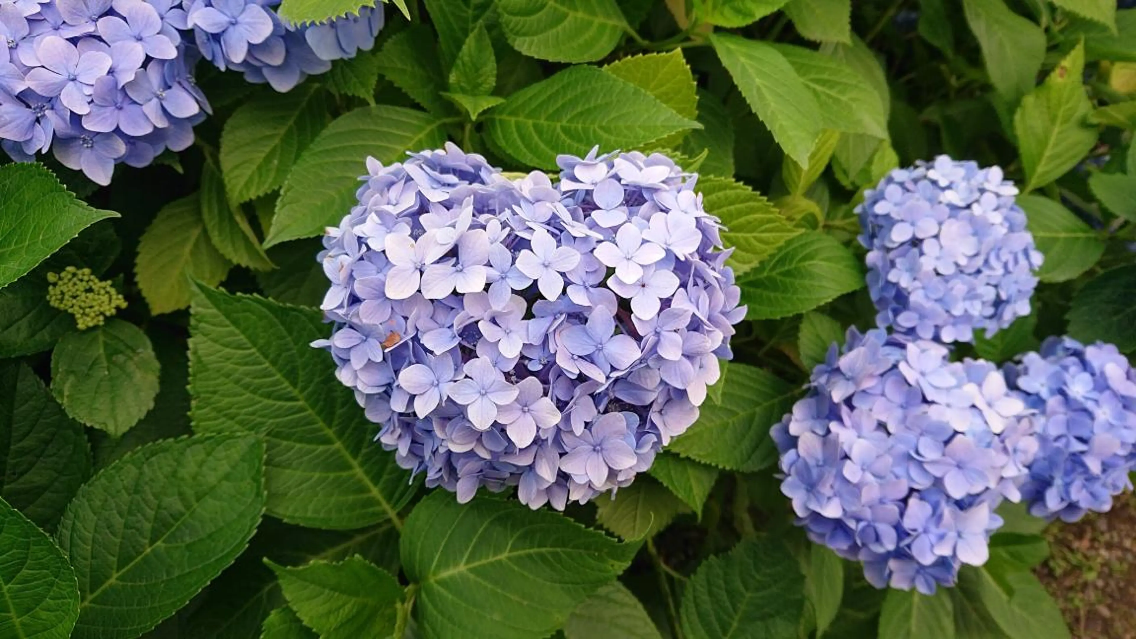 エステ リラク 美と癒しのお店OTOHA 2nd所属・OTOHA よしだのエステ・リラクイメージ