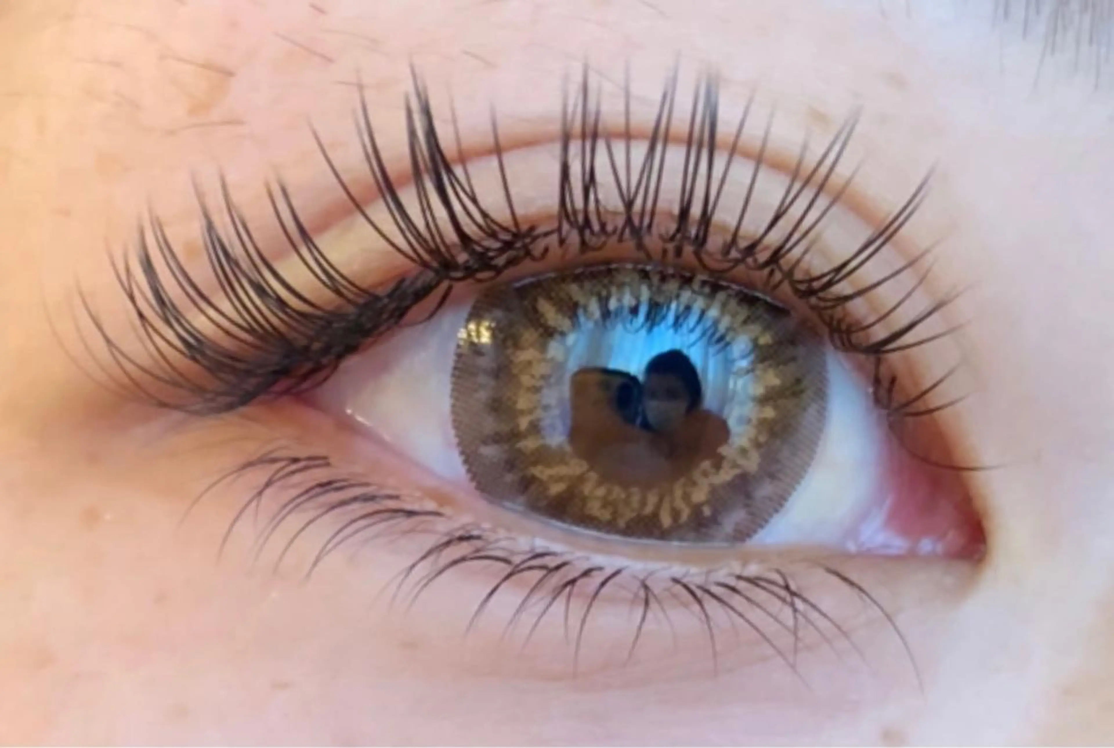 フラットラッシュ120本の写真