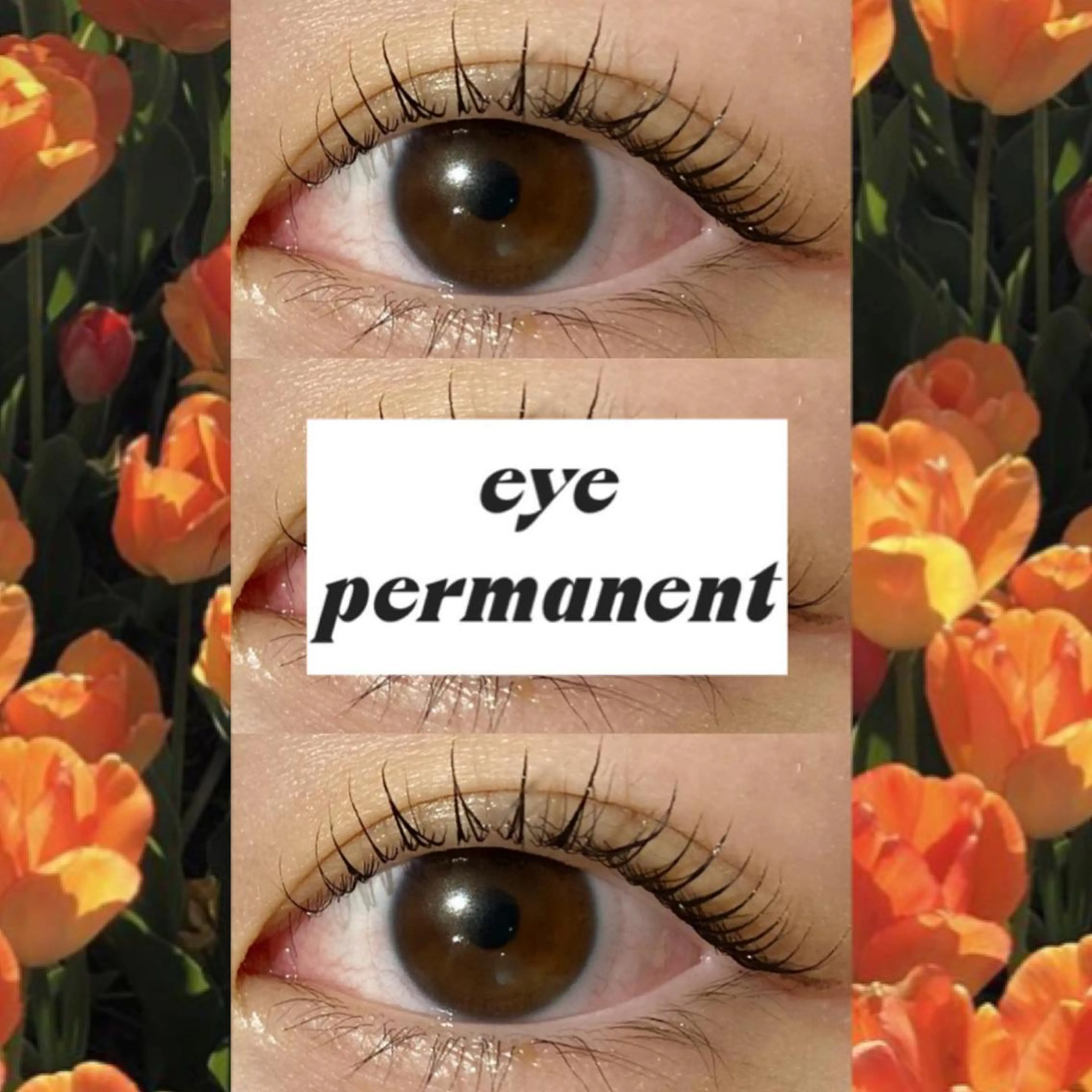 マツエク・マツパ ブラウンラッシュ 束感まつ毛 カラーマツエク フラットラッシュ 韓国風マツエク orihara𐙚 まつげパーマ/眉毛のマツエク・マツパデザイン