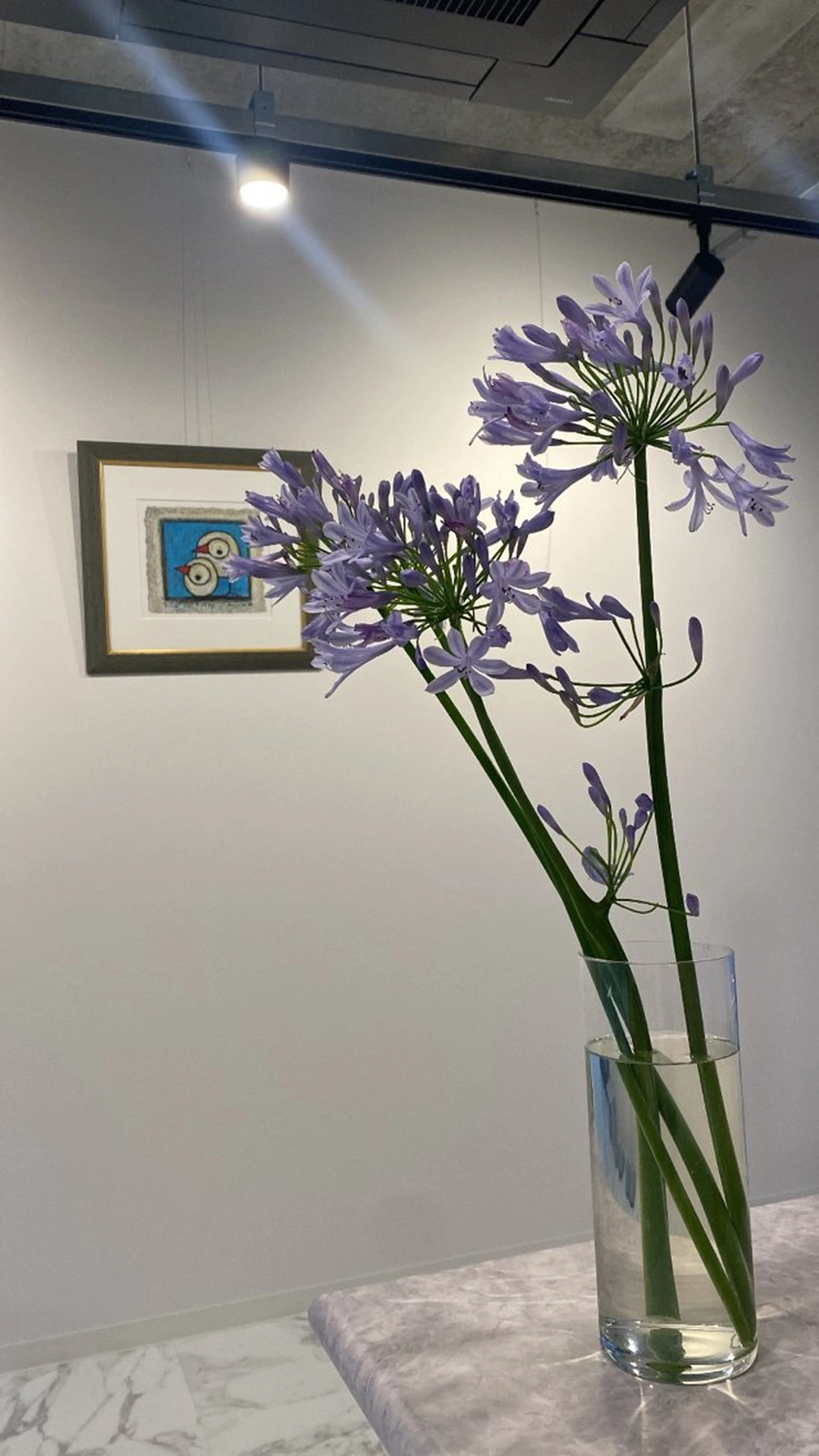 Private Salon S.Nail所属・S.Nail 𓏲⋆🪸.⋆⸜🫧のネイルデザイン