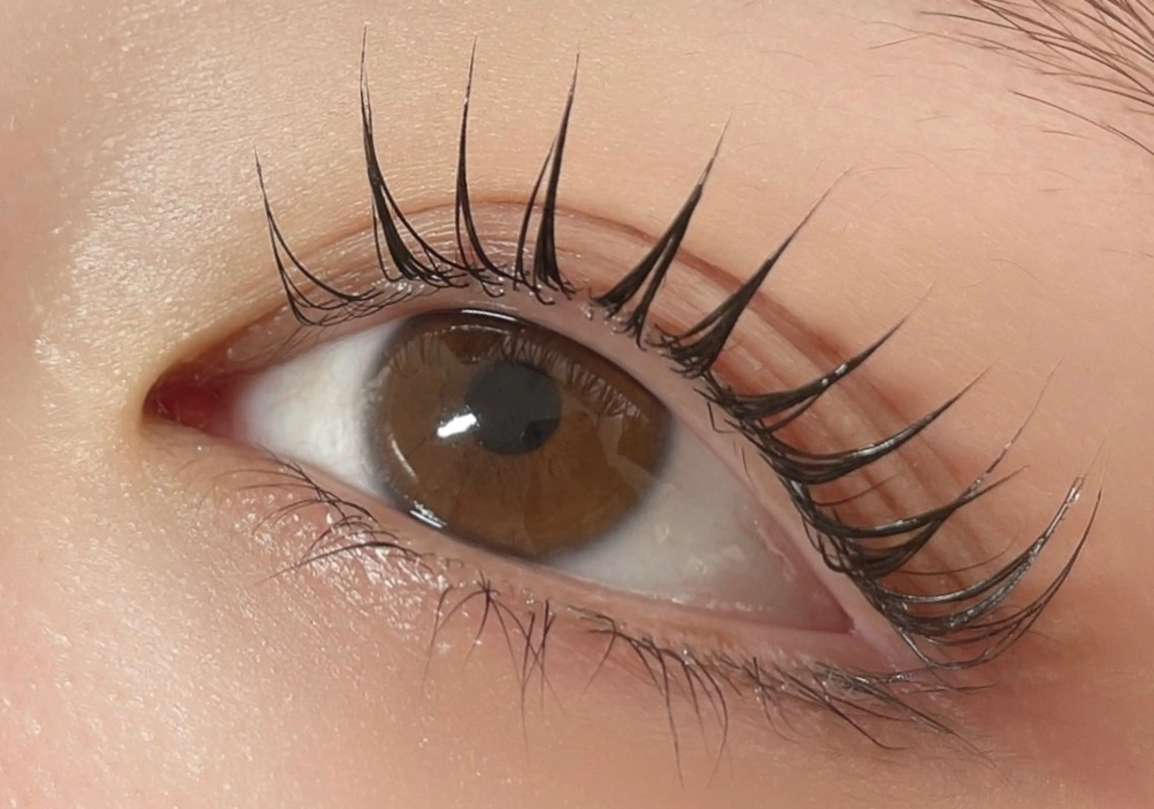 韓国アイドル風束感まつ毛パーマ！！トリートメント付き✨の写真