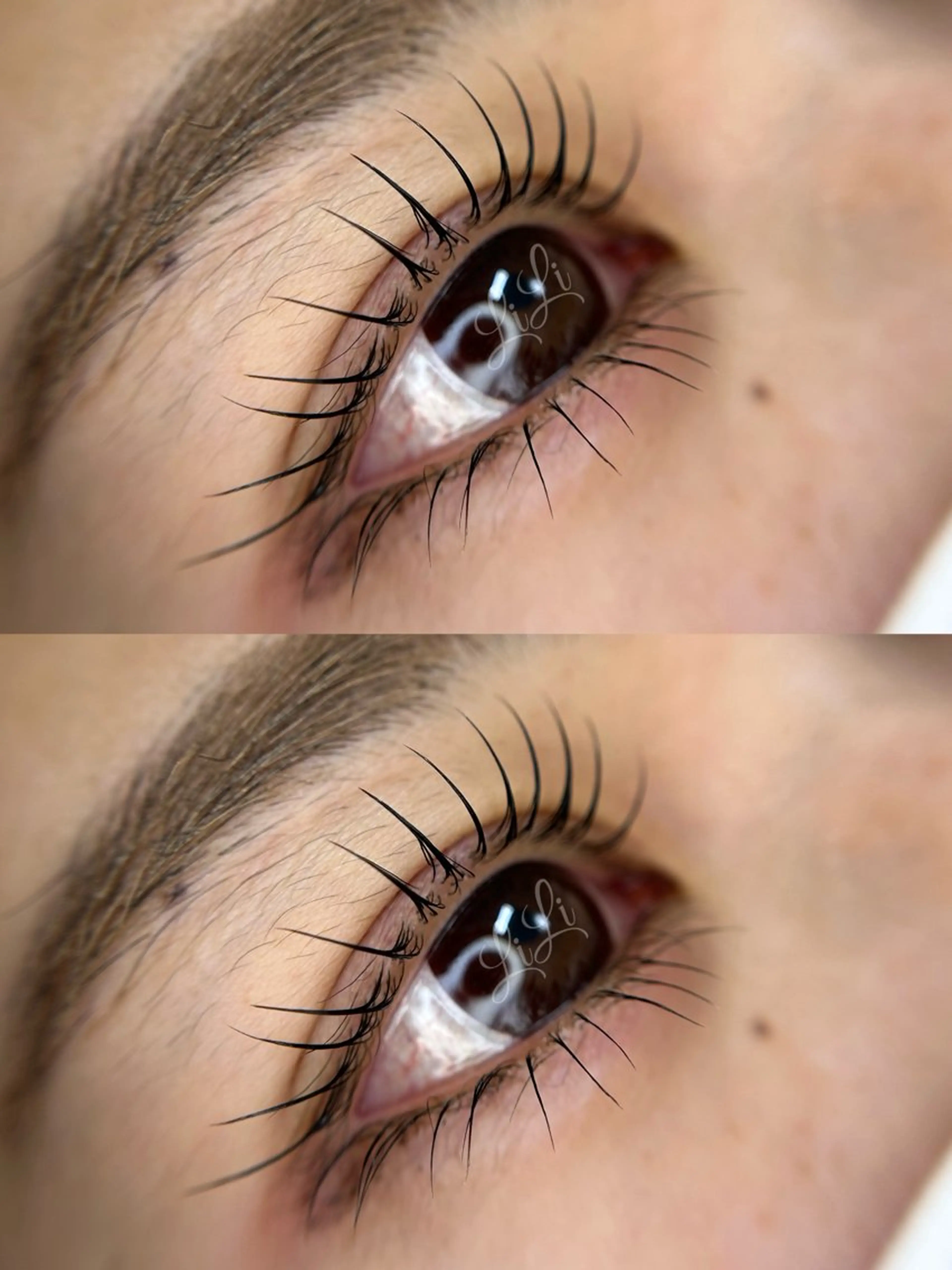 【minimo限定🍂】上下ラッシュリフト　¥5980（税込）※オフ込の写真