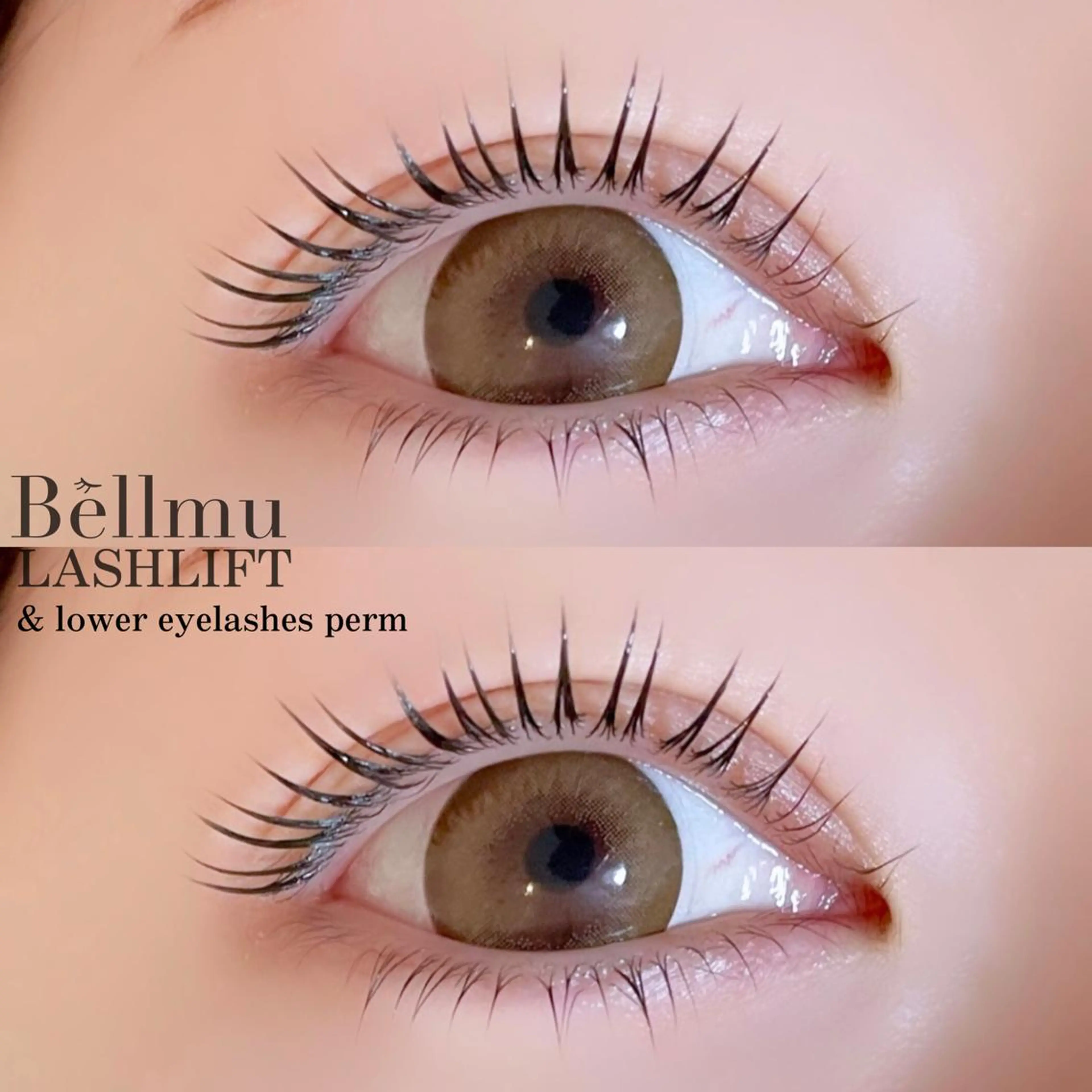 マツエク・マツパ マツパ 💈Bèllmu/ なんば/心斎橋❣️のマツエク・マツパデザイン