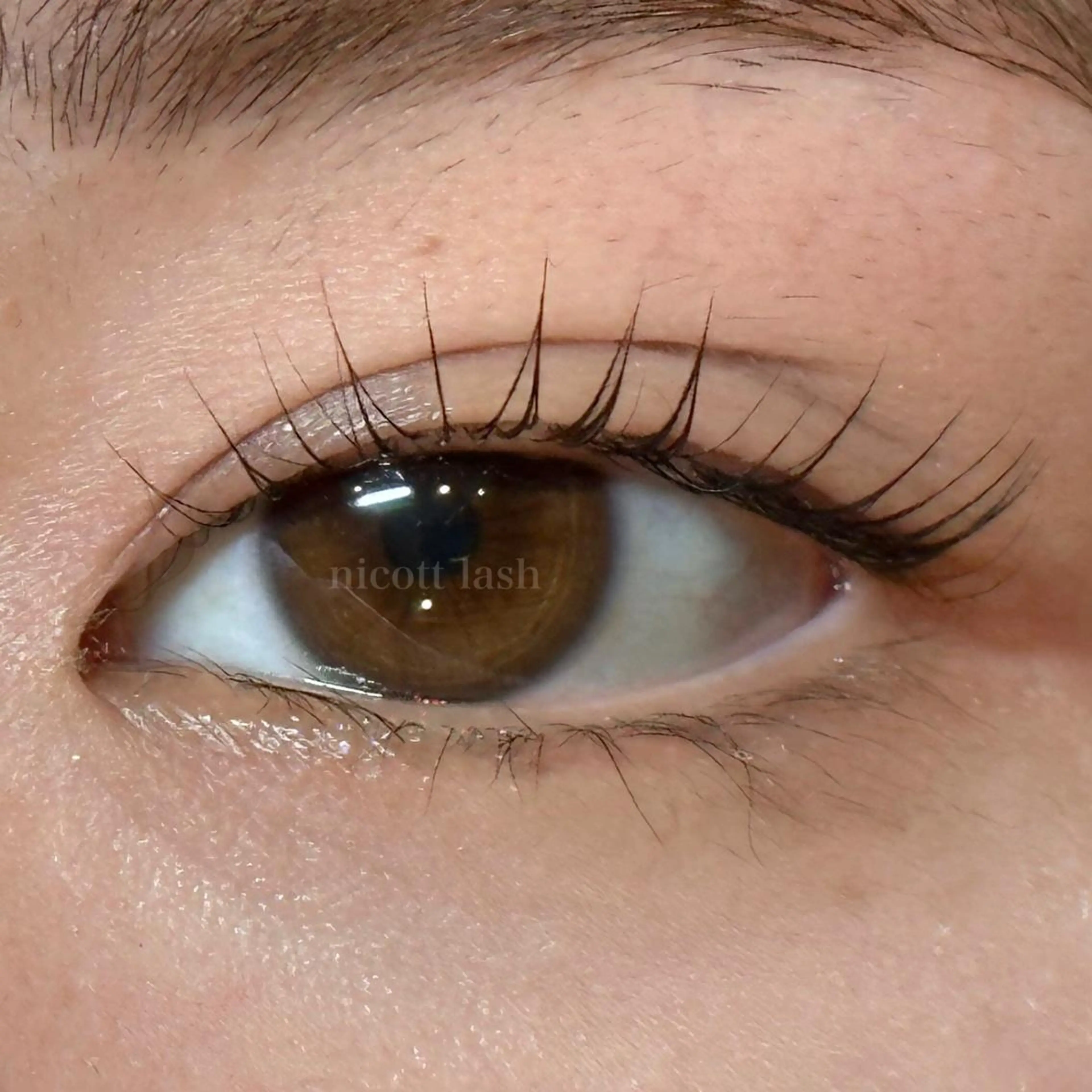 マツエク・マツパ nicott 篠田のマツエク・マツパデザイン