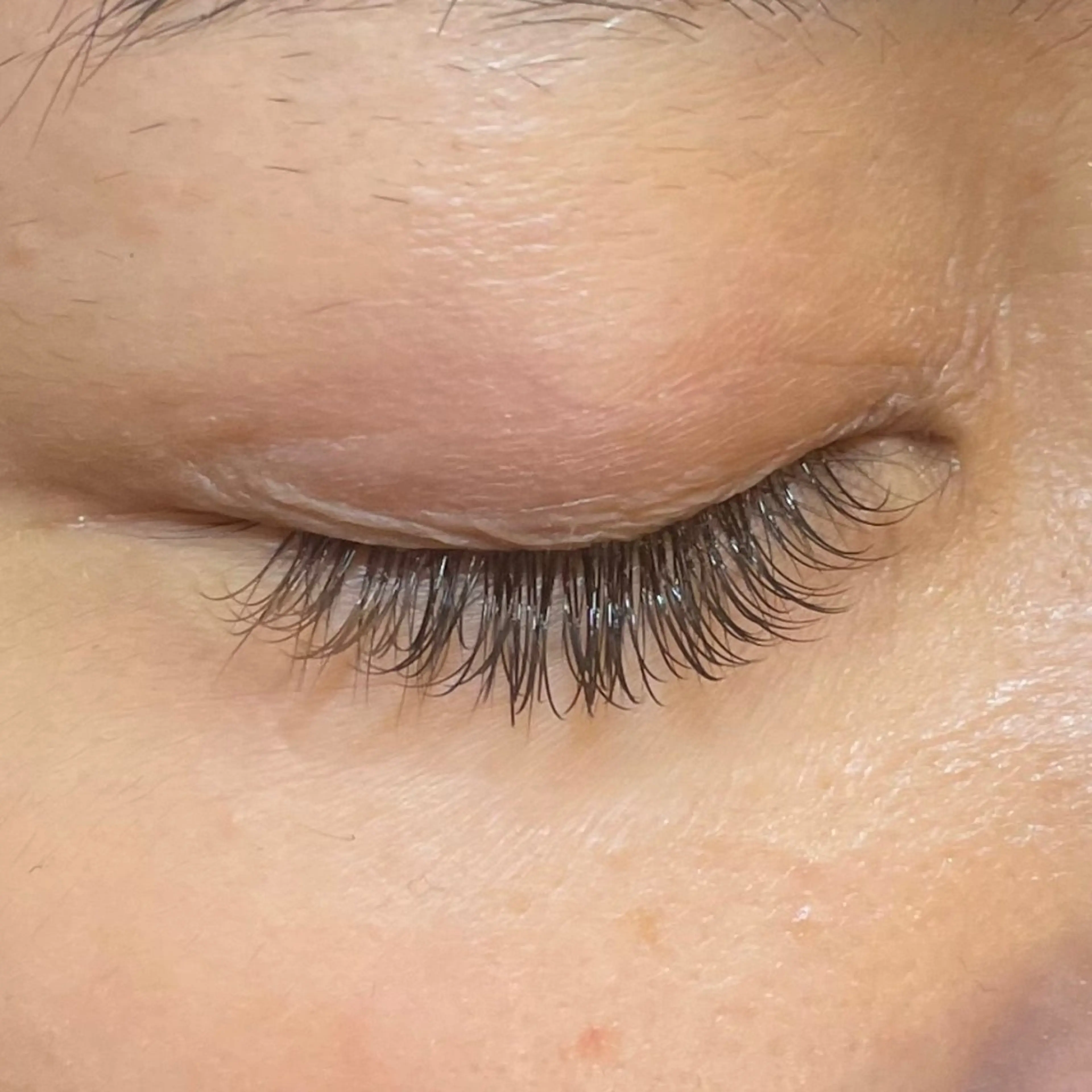 最高級セーブルフラットラッシュ✨つけ放題(140本以上)【オフ込み】の写真