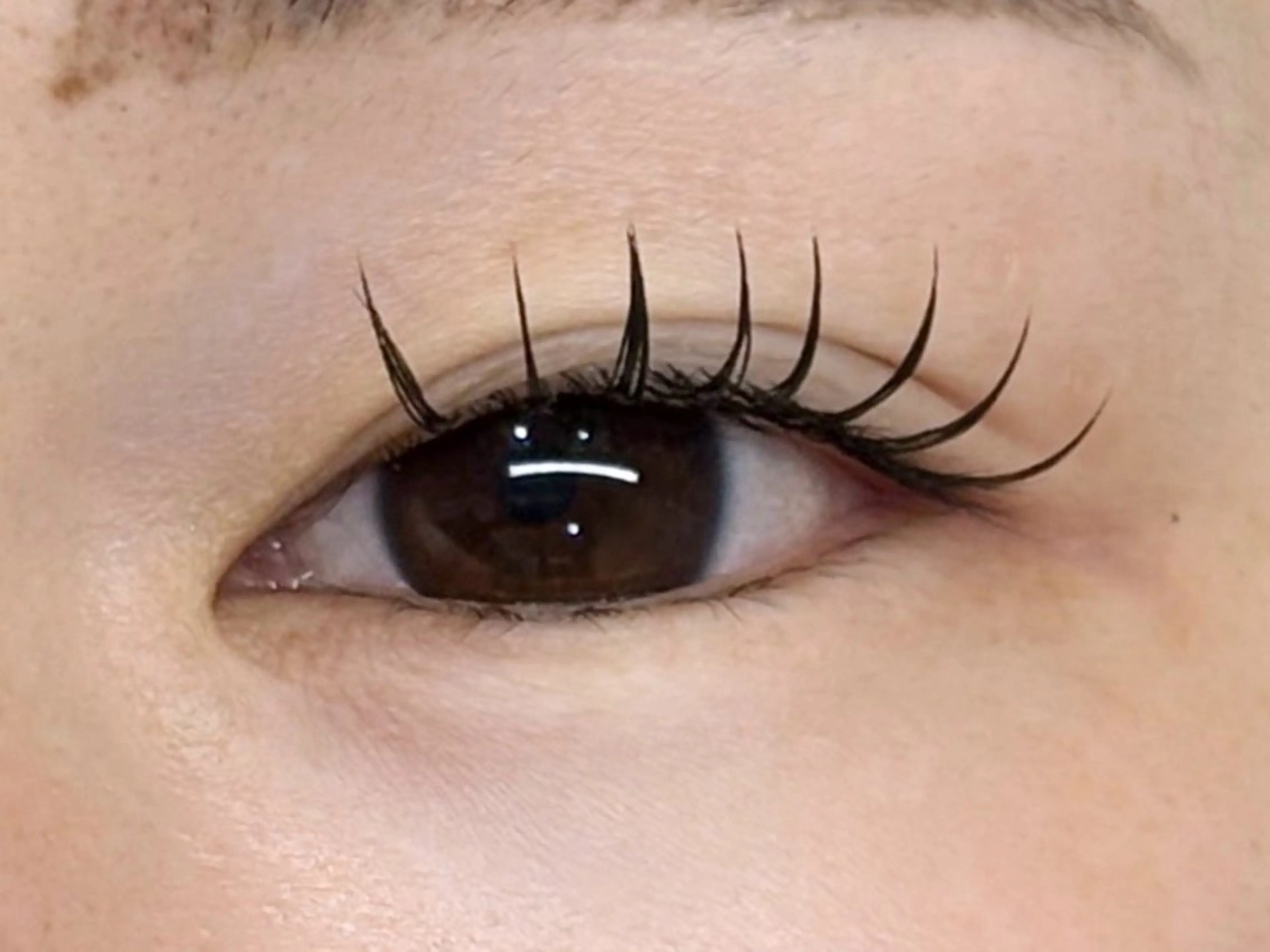 マツエク・マツパ キュート フラットラッシュ 丹 みなみの眉毛・アイブロウイメージ