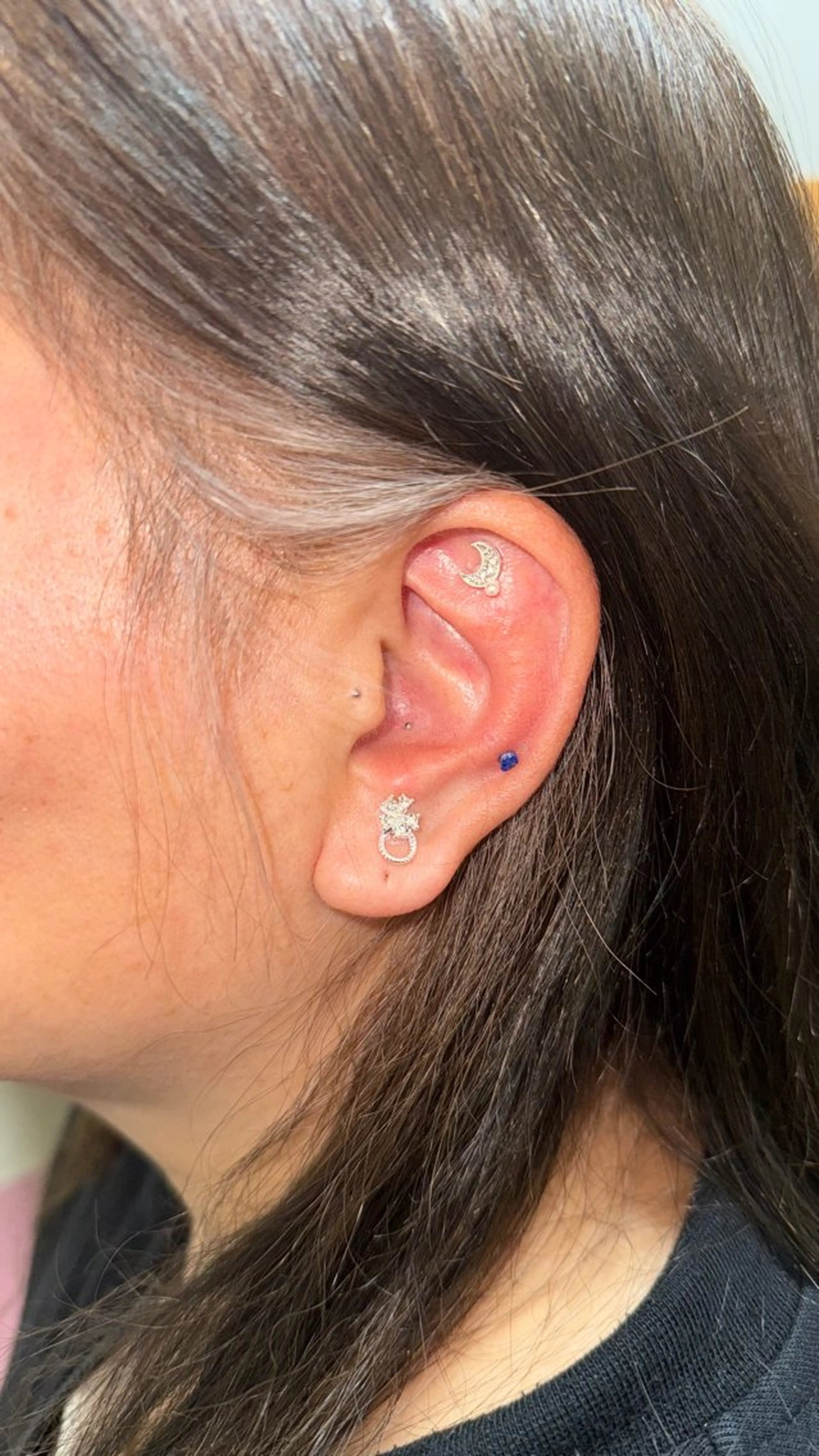 B.napus/mimi2bo所属・B.napus Nanohaのその他イメージ