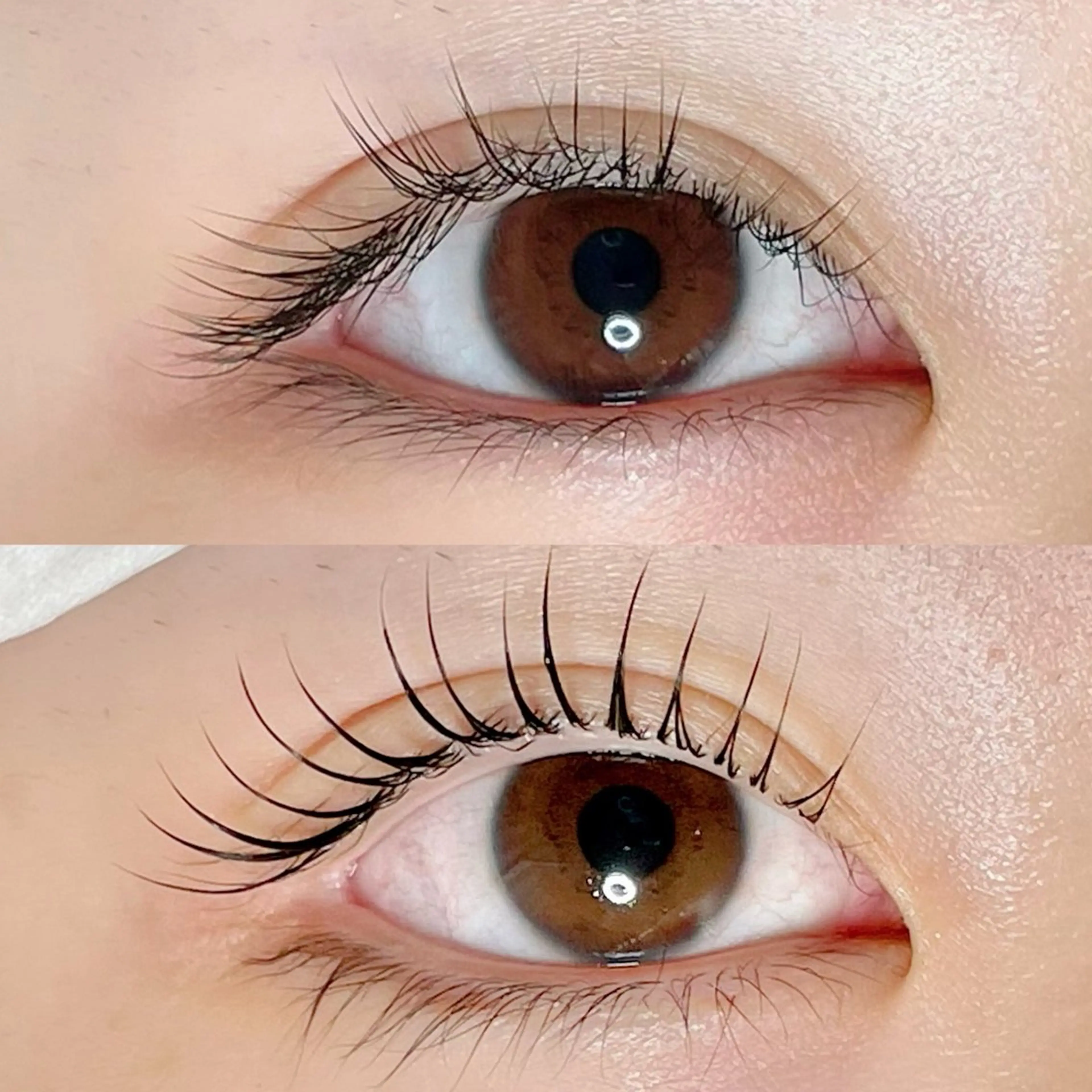 マツエク・マツパ AYLASH🧡 猪又のマツエク・マツパデザイン