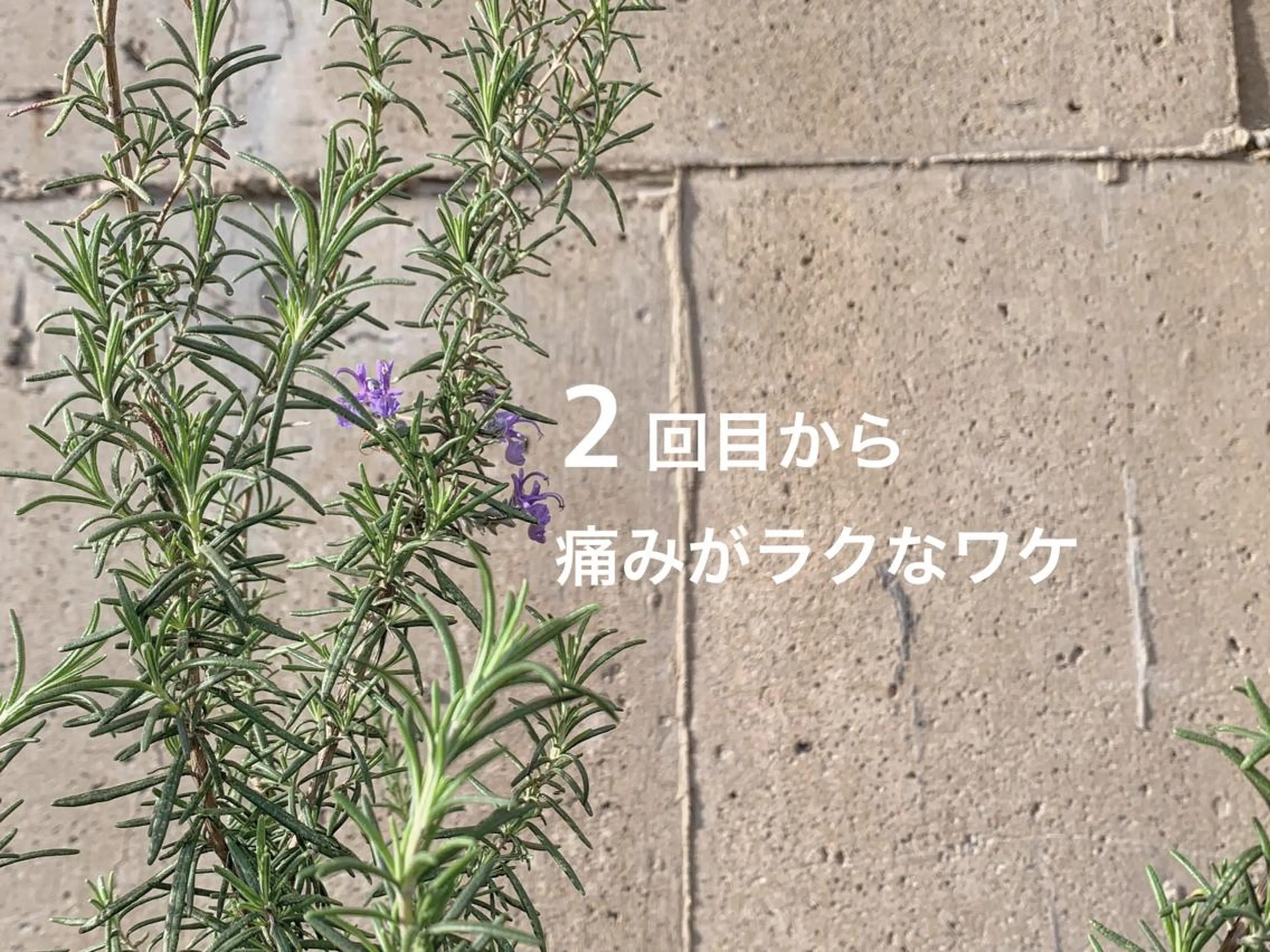 地上のトレチカ sugaringのエステ・リラクイメージ