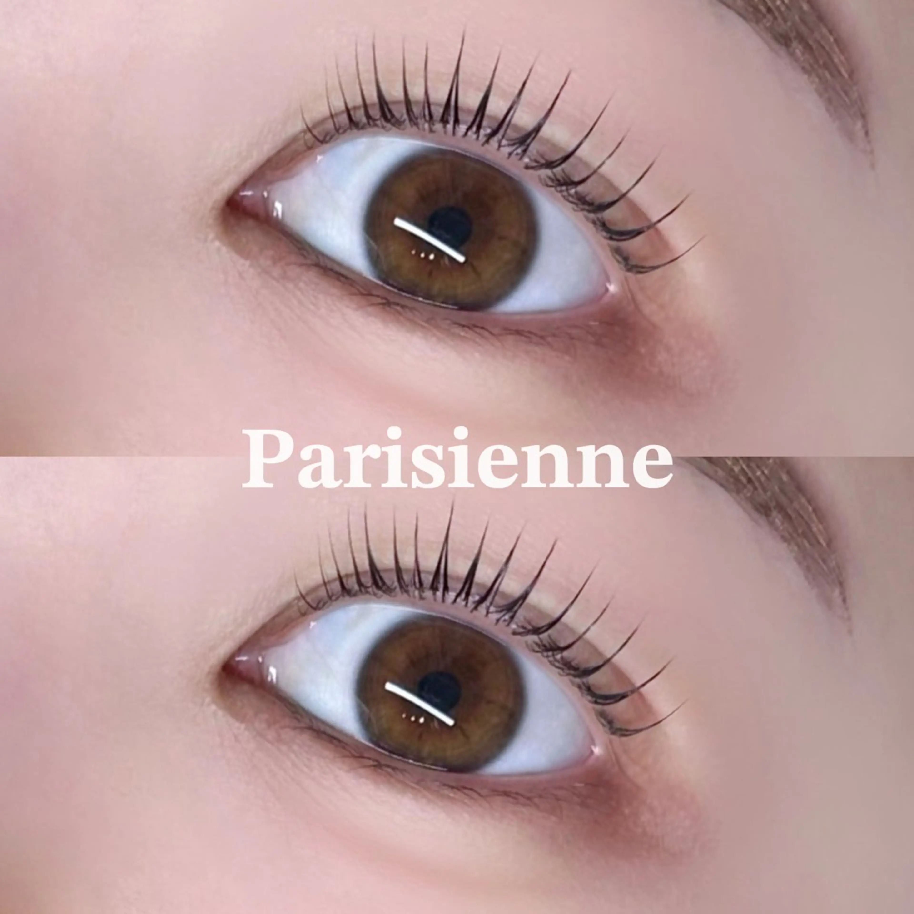 【パリジェンヌラッシュリフト💫】トリートメント付き🪄︎︎ご新規様4500円/再来様5500円の写真