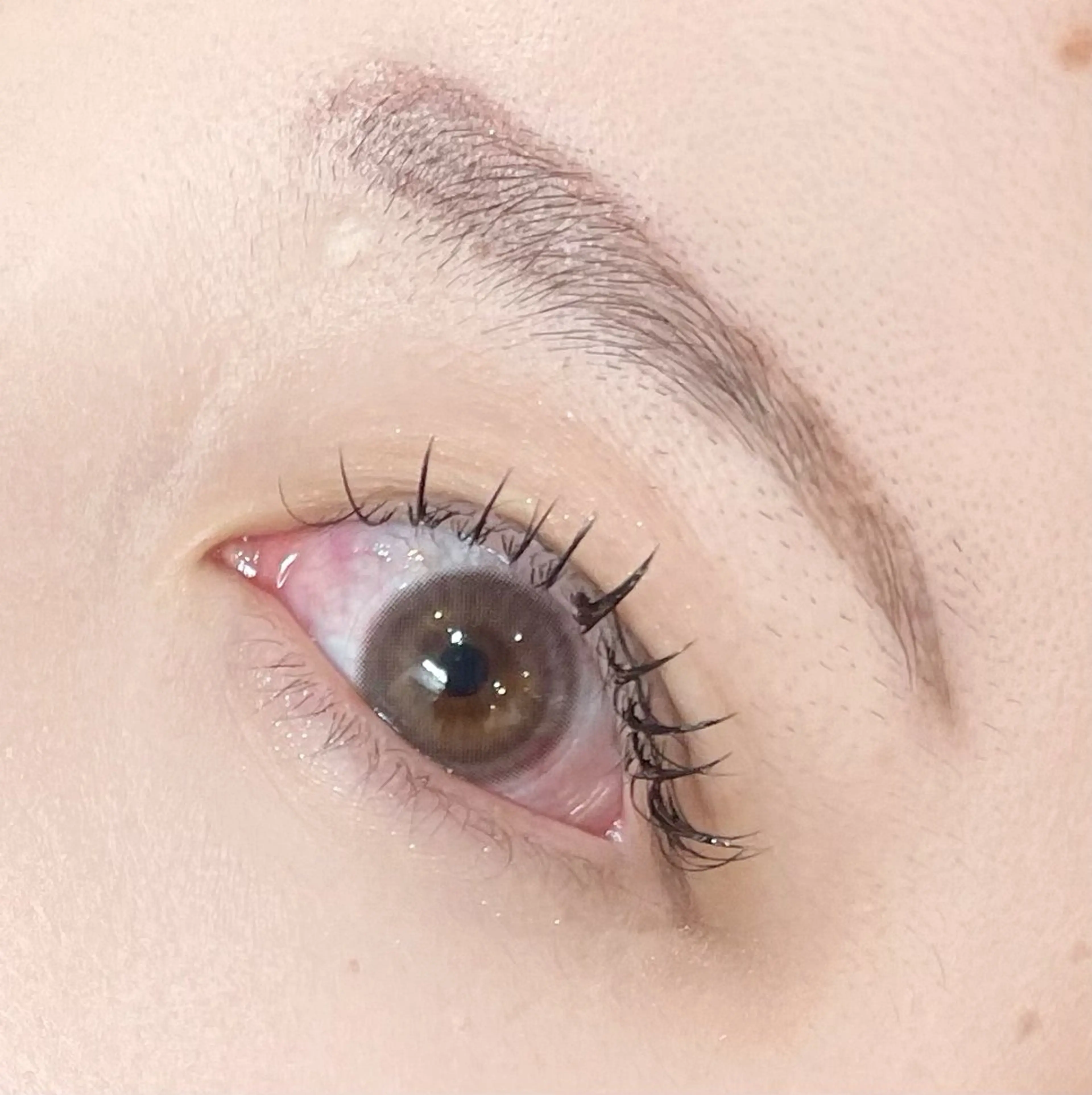 マツエク・マツパ EYELA(アイラ)柏店所属・👑EYELA 柏／ 川村👑のマツエク・マツパデザイン