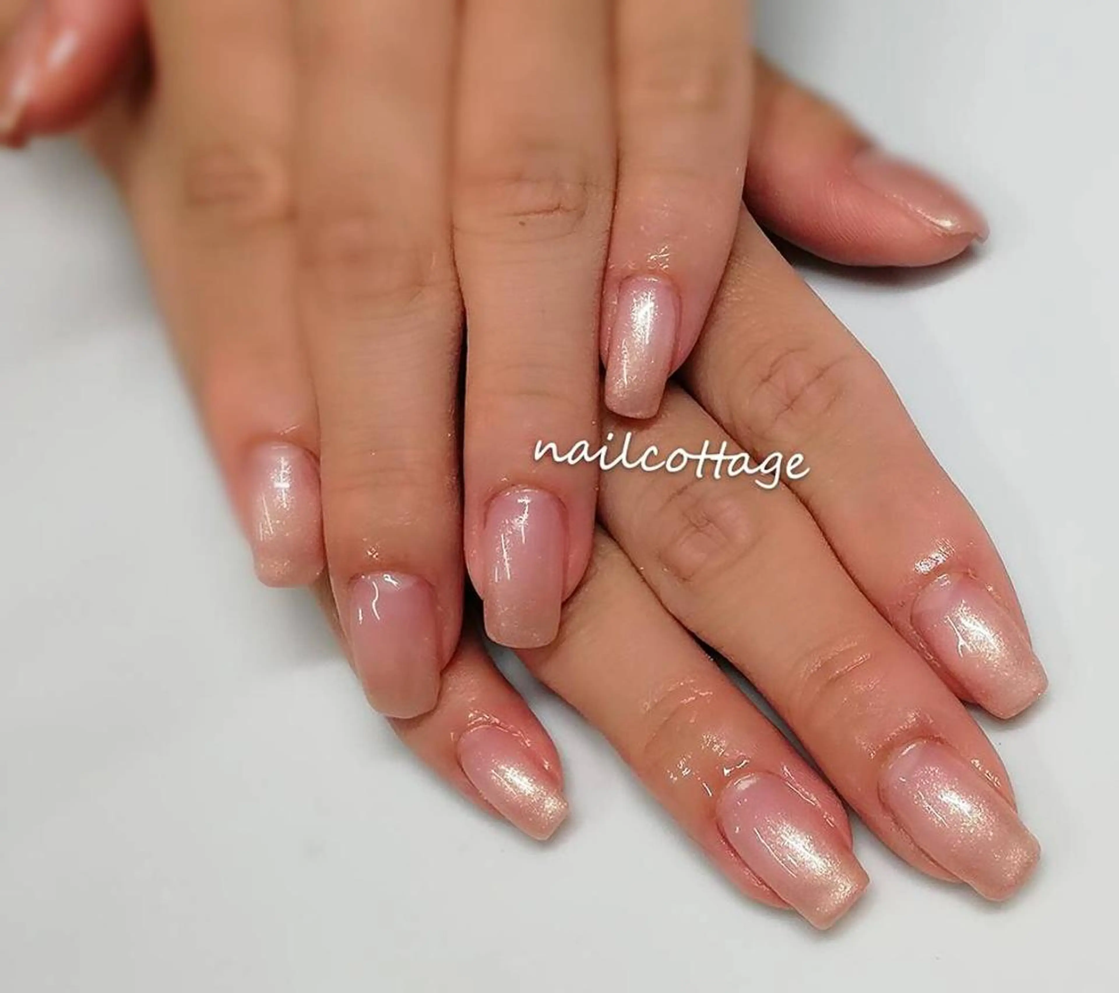 ネイル フレンチネイル グラデーション ワンカラーネイル Nail cottageのネイルデザイン