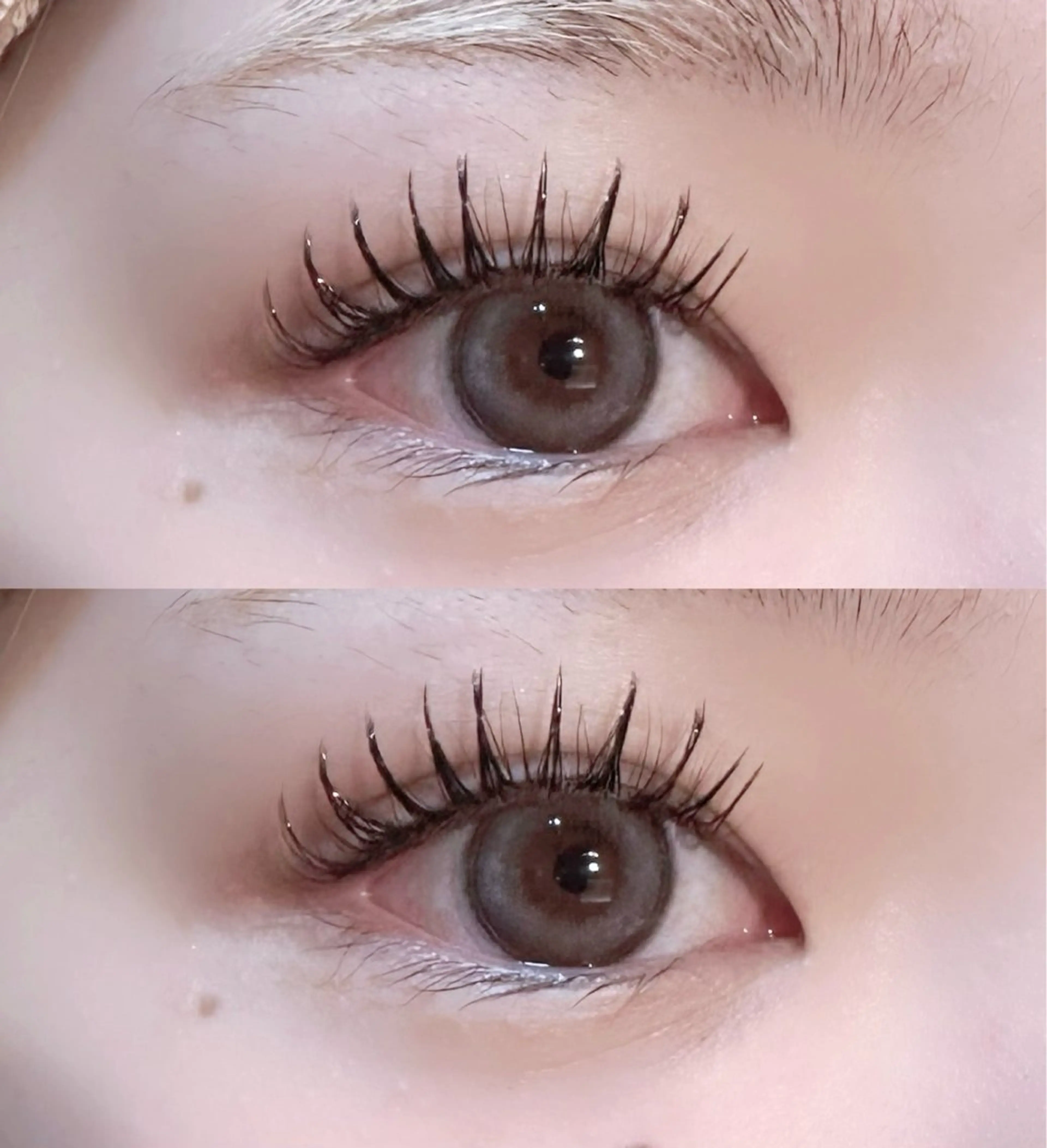 ⛓️🗝モチ重視🖤ご新規様オフ無料🖤バインドロック​〜​60束の写真