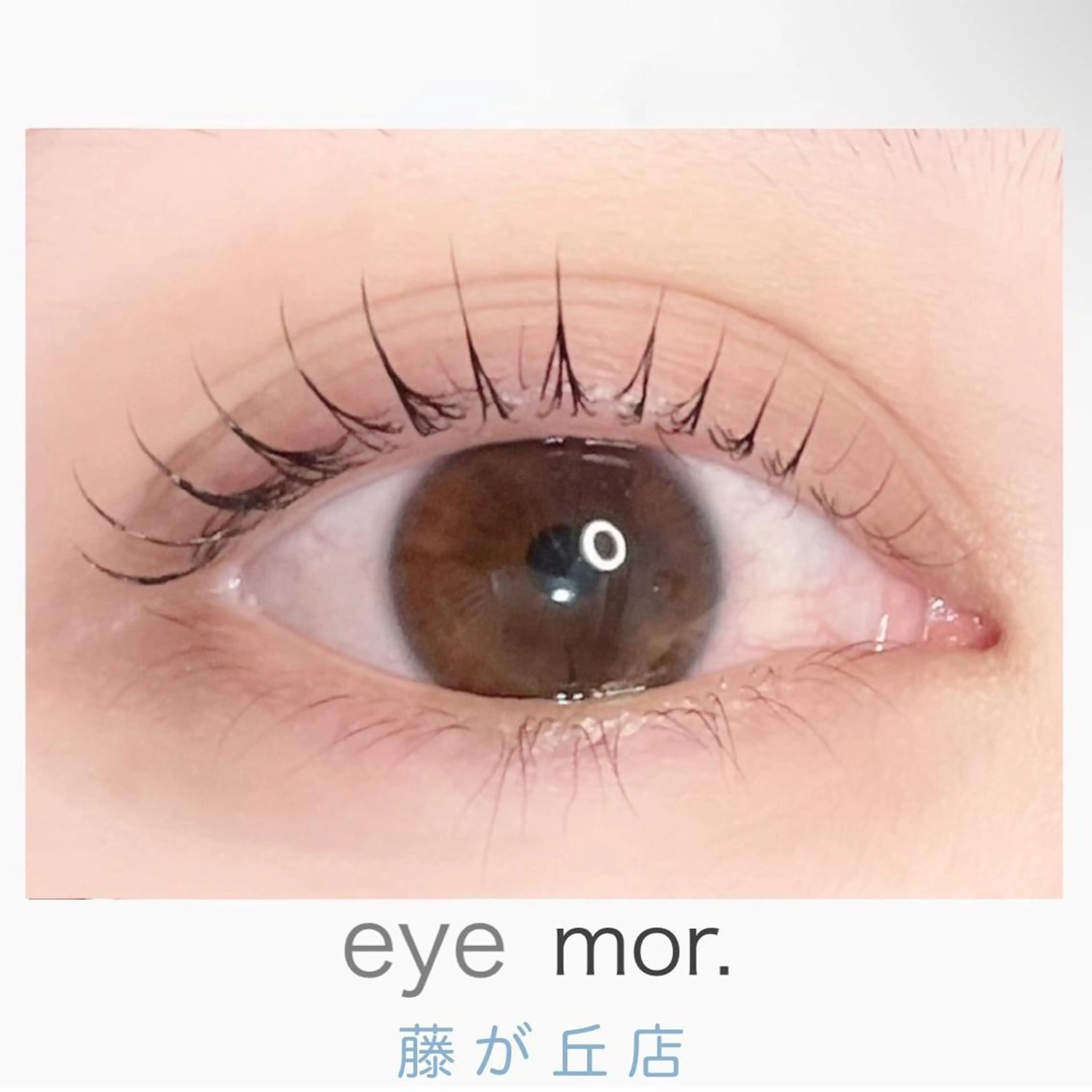 マツエク・マツパ eye mor.所属・小塚 日菜子のマツエク・マツパデザイン