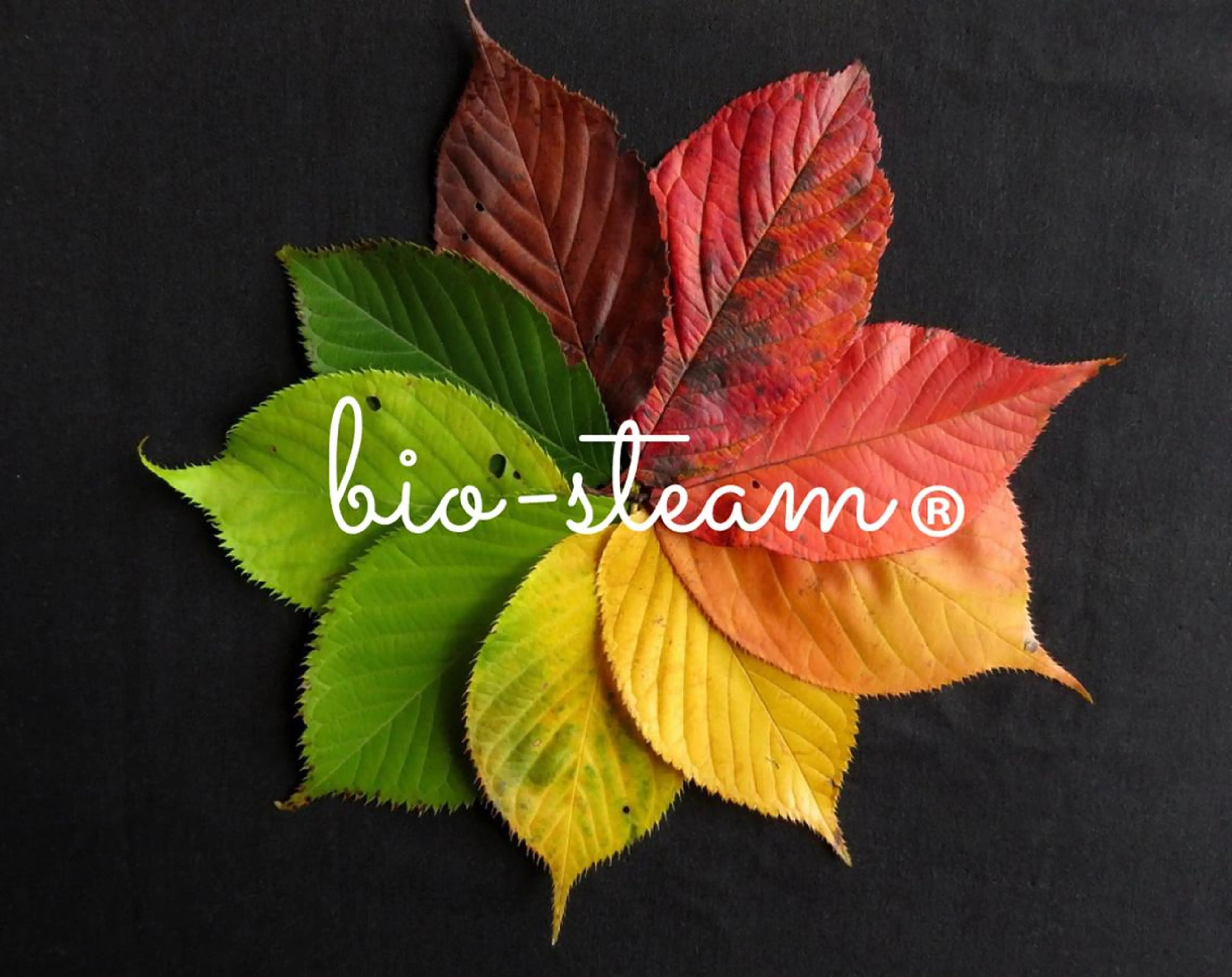 Nail room U-！のネイルデザイン