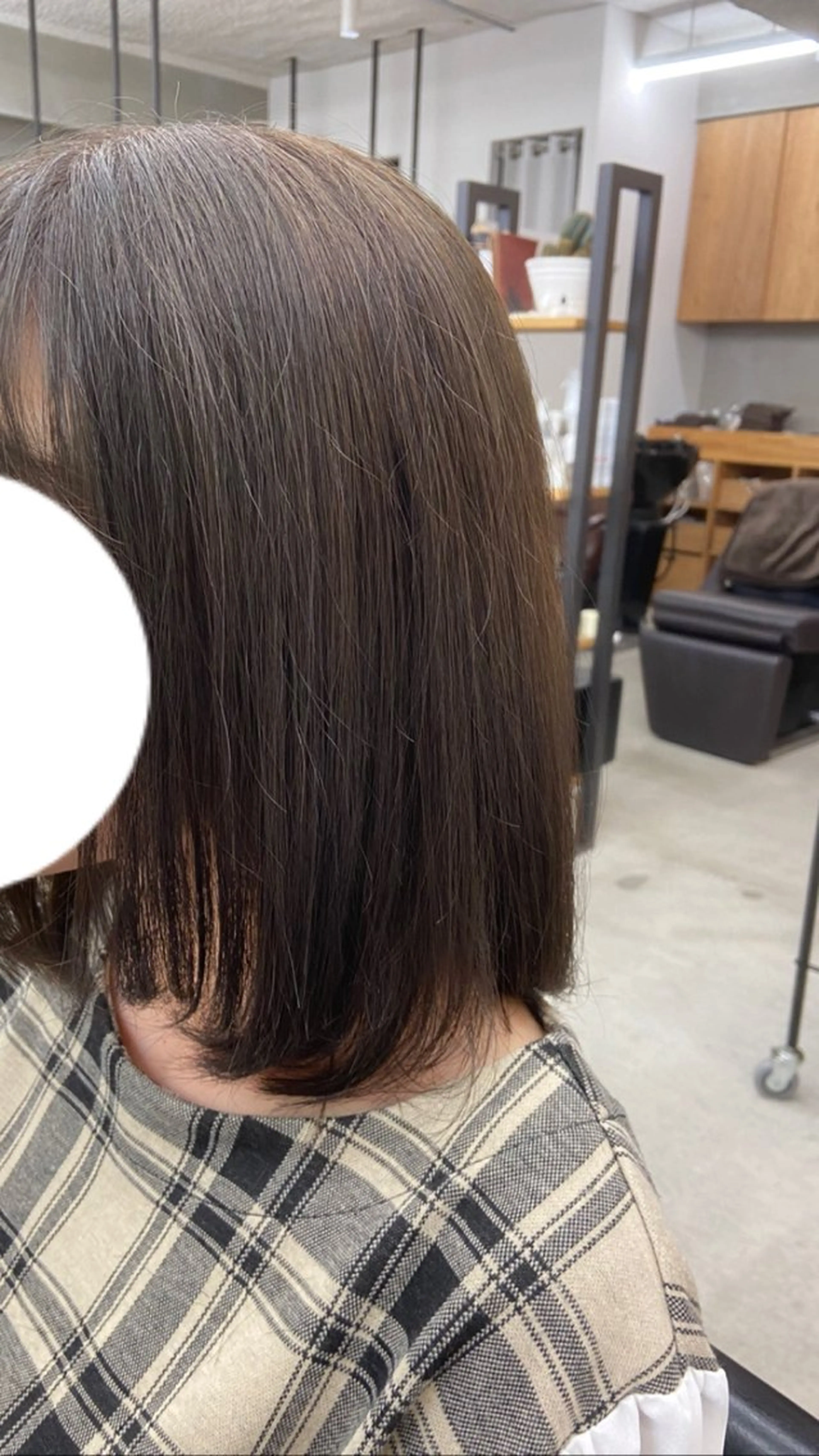 ミディアム アッシュ レイヤーカット カット ヘアカラー 🌵戸田 柊之介🌵のヘアスタイル