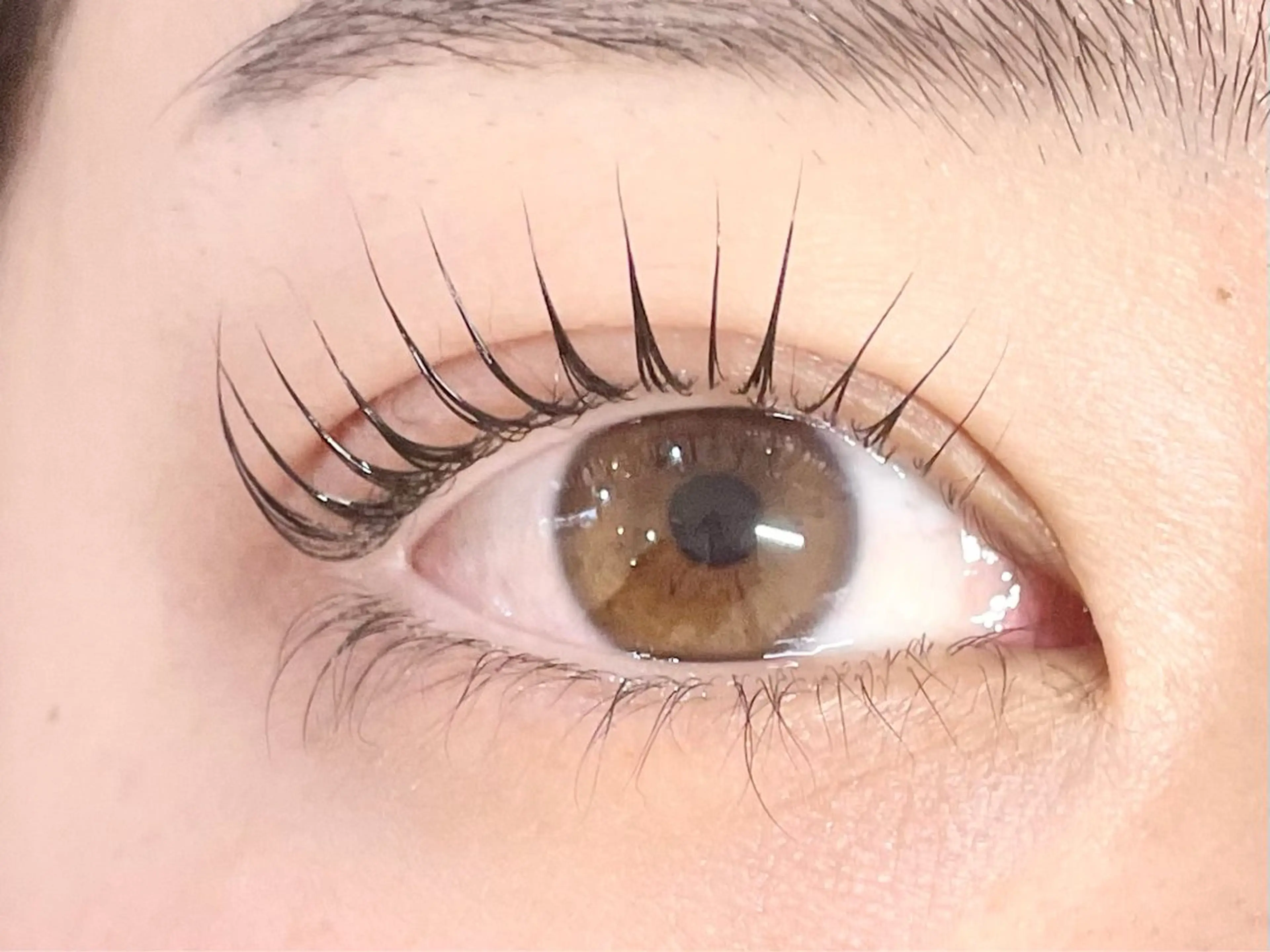 マツエク・マツパ パリジェンヌラッシュリフト マツパ 中村彩香 (エフドゥ)のマツエク・マツパデザイン