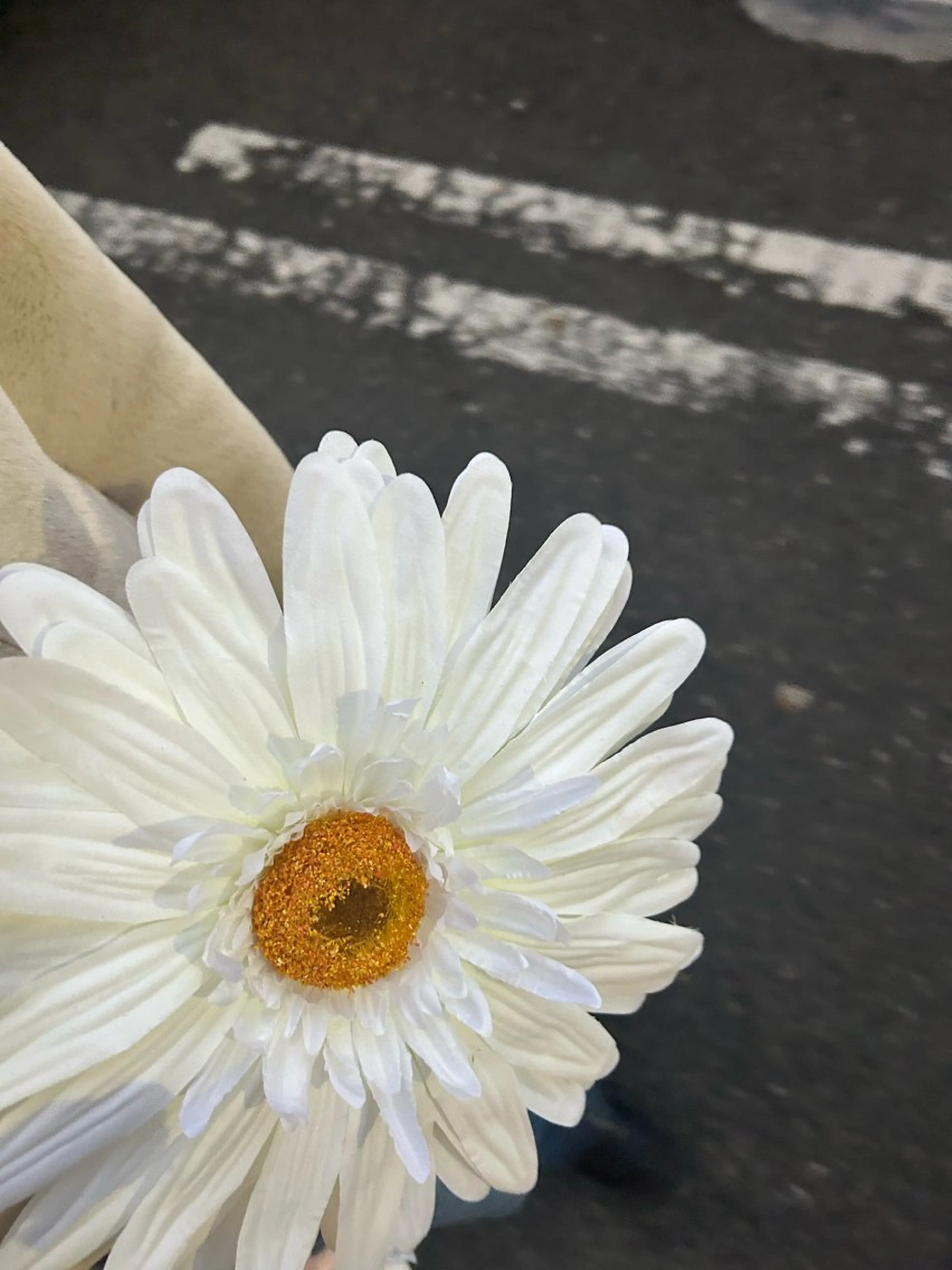 韓国🇰🇷価格 サロン_Nbibiのエステ・リラクイメージ