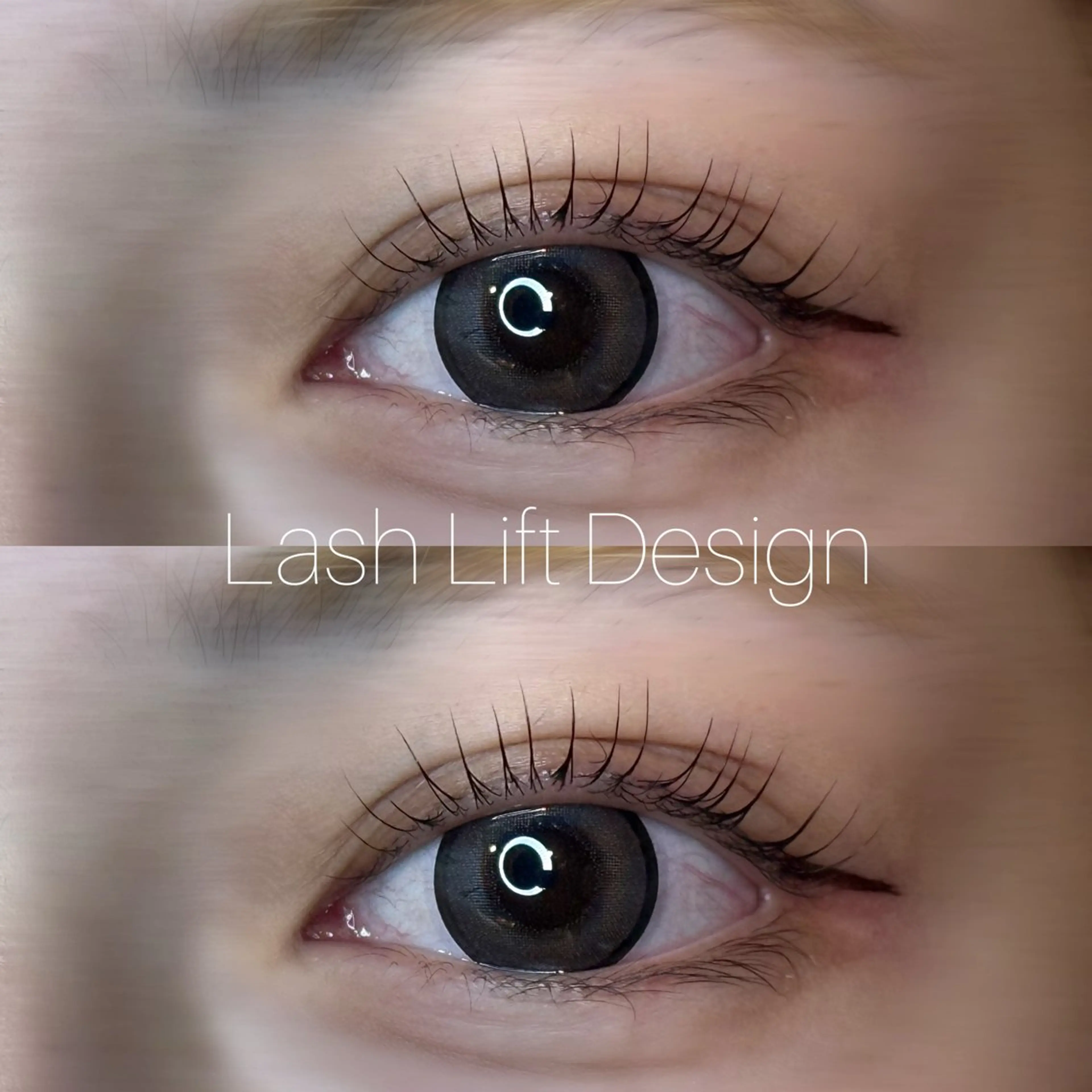 ﾄﾘｰﾄﾒﾝﾄ付き🌙パリジェンヌラッシュリフト🫧の写真