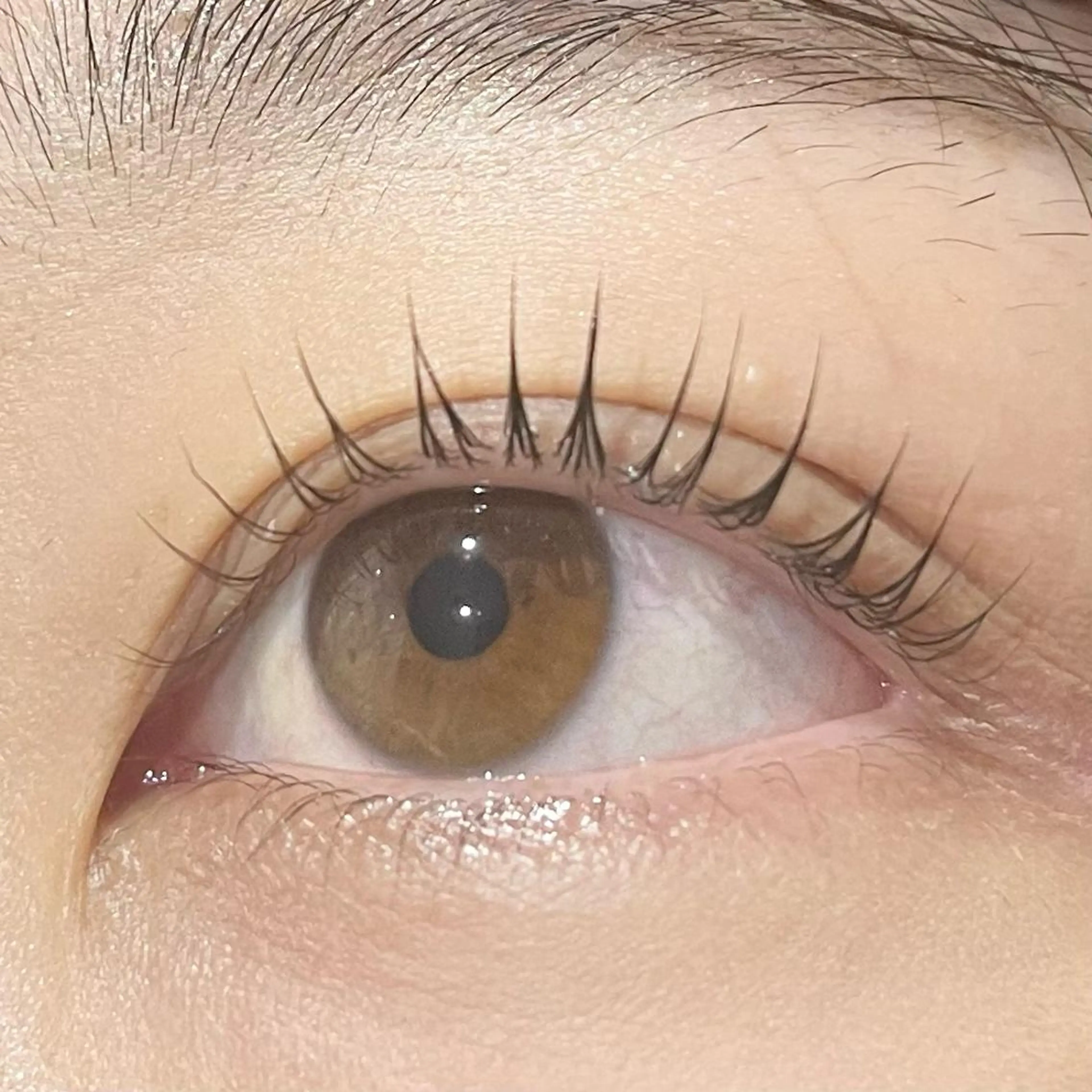 まつげパーマ4300円🌟_お仕上げコーティング付き♪の写真