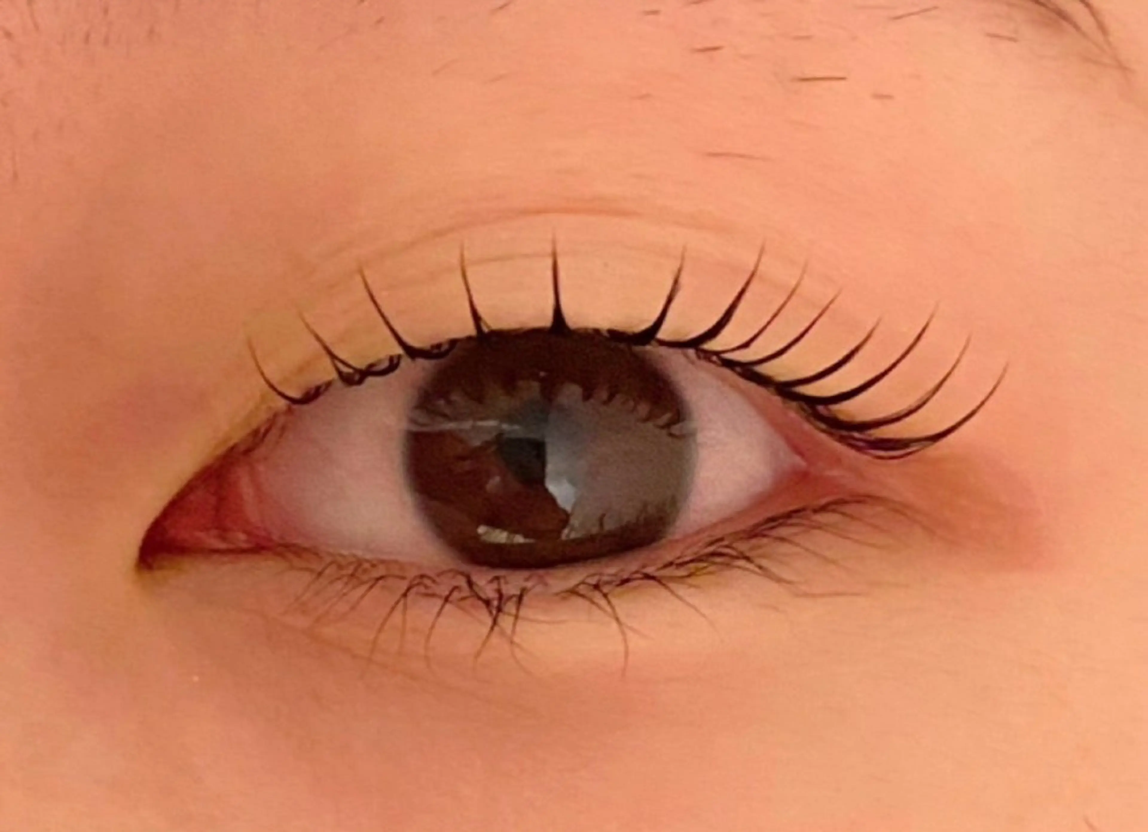 マツエク・マツパ 束感まつ毛 韓国風マツエク マツパ Jessica 清水🎀✨のエステ・リラクイメージ