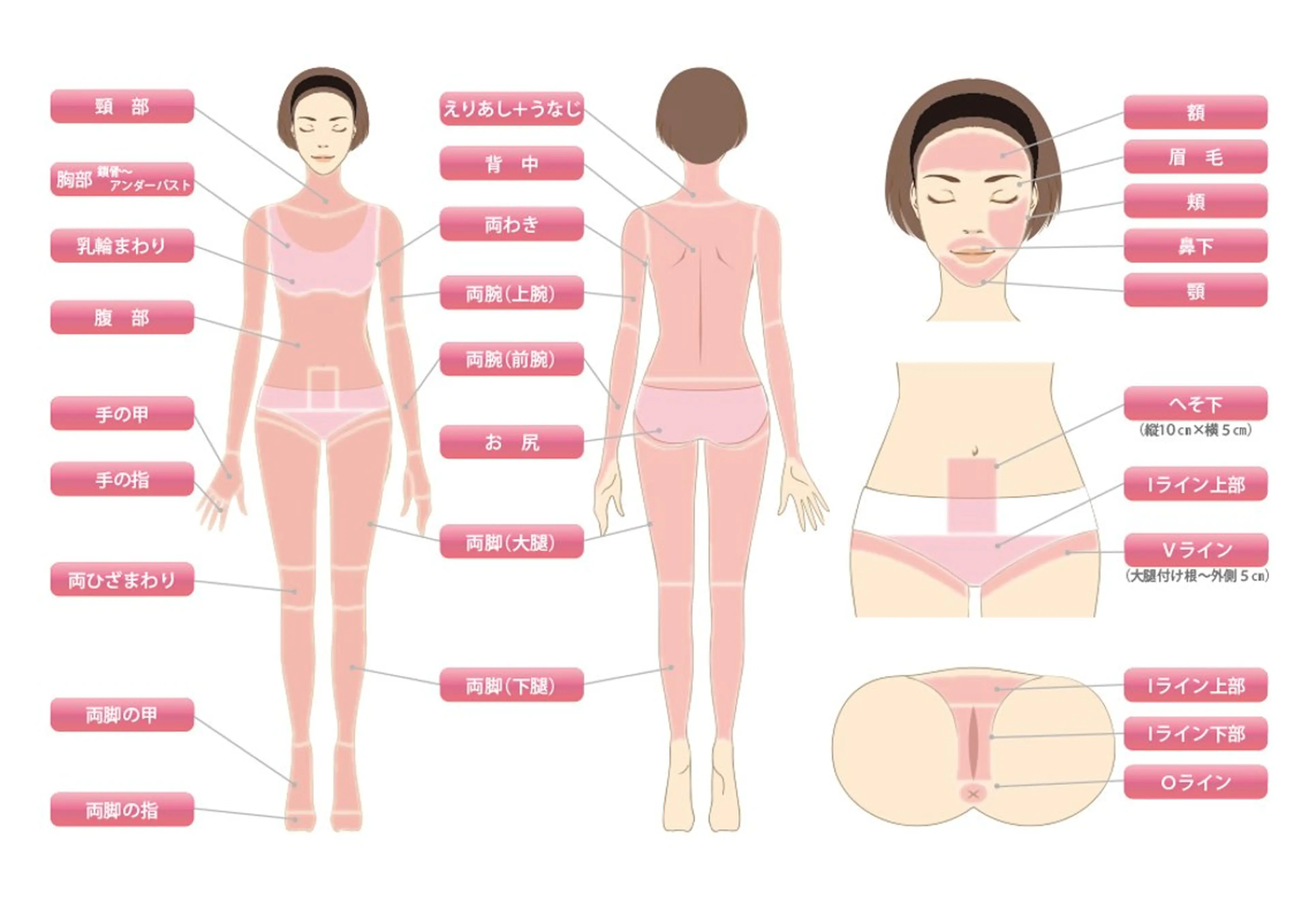 【女性限定】人気な選べる3パーツ脱毛✨️の写真