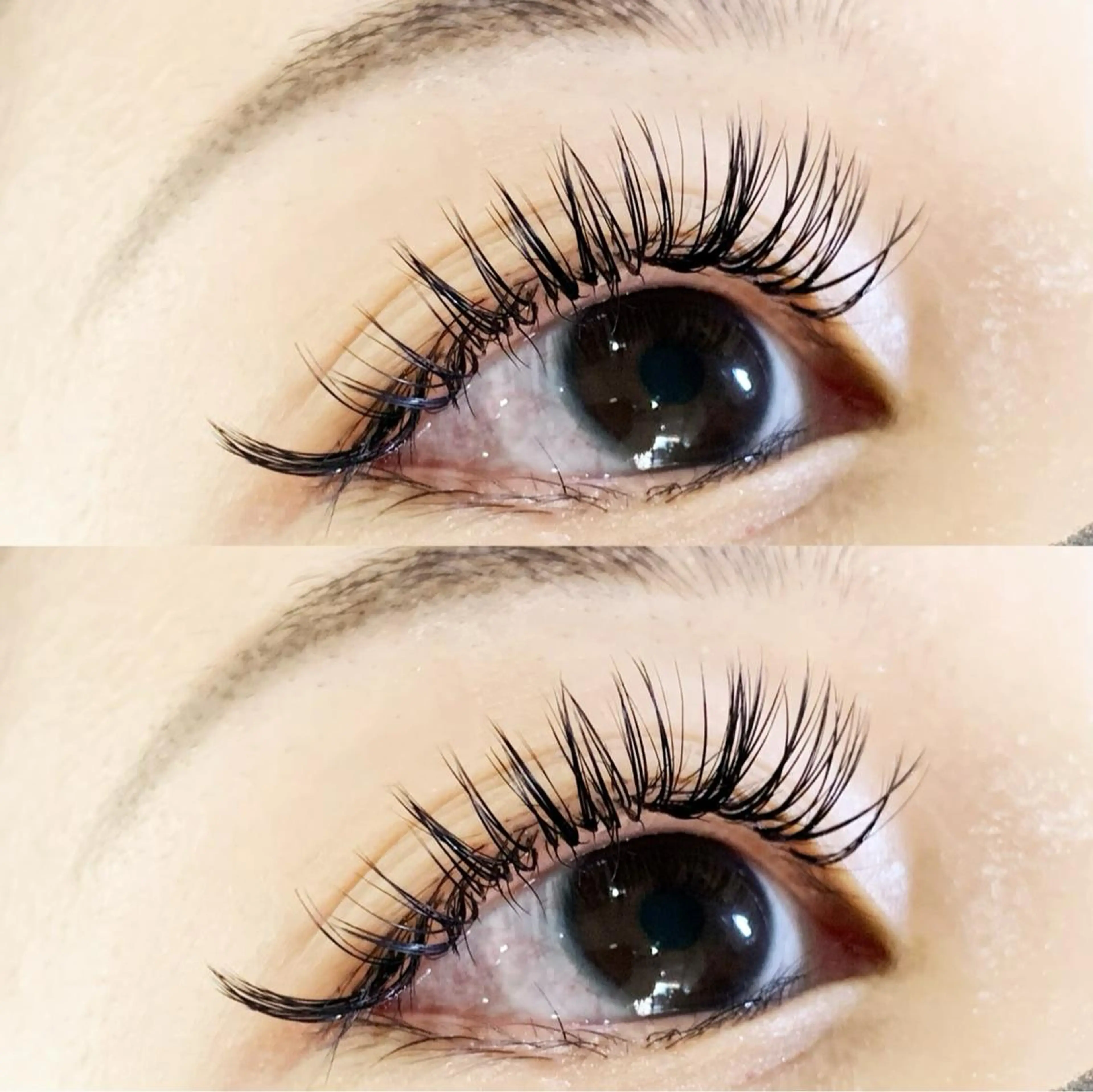 バインドロック100束《オフの有無をお知らせください》の写真